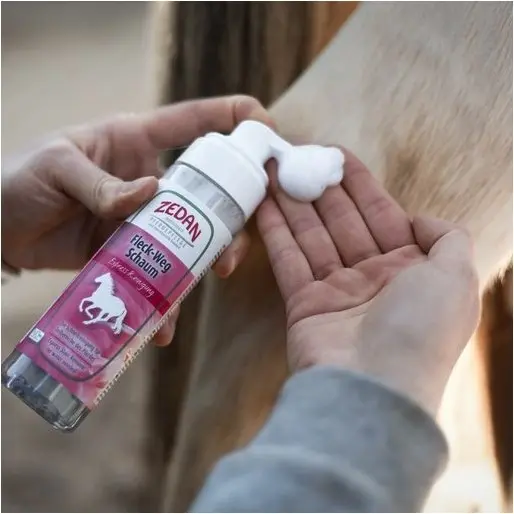 Fleck-Weg Schaum Expressreinigung 200ml