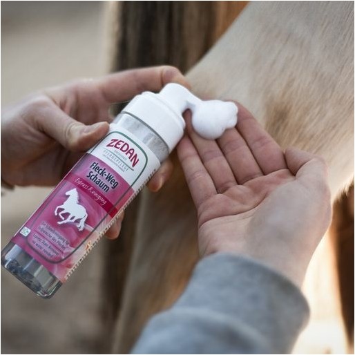 Fleck-Weg Schaum Expressreinigung 200ml