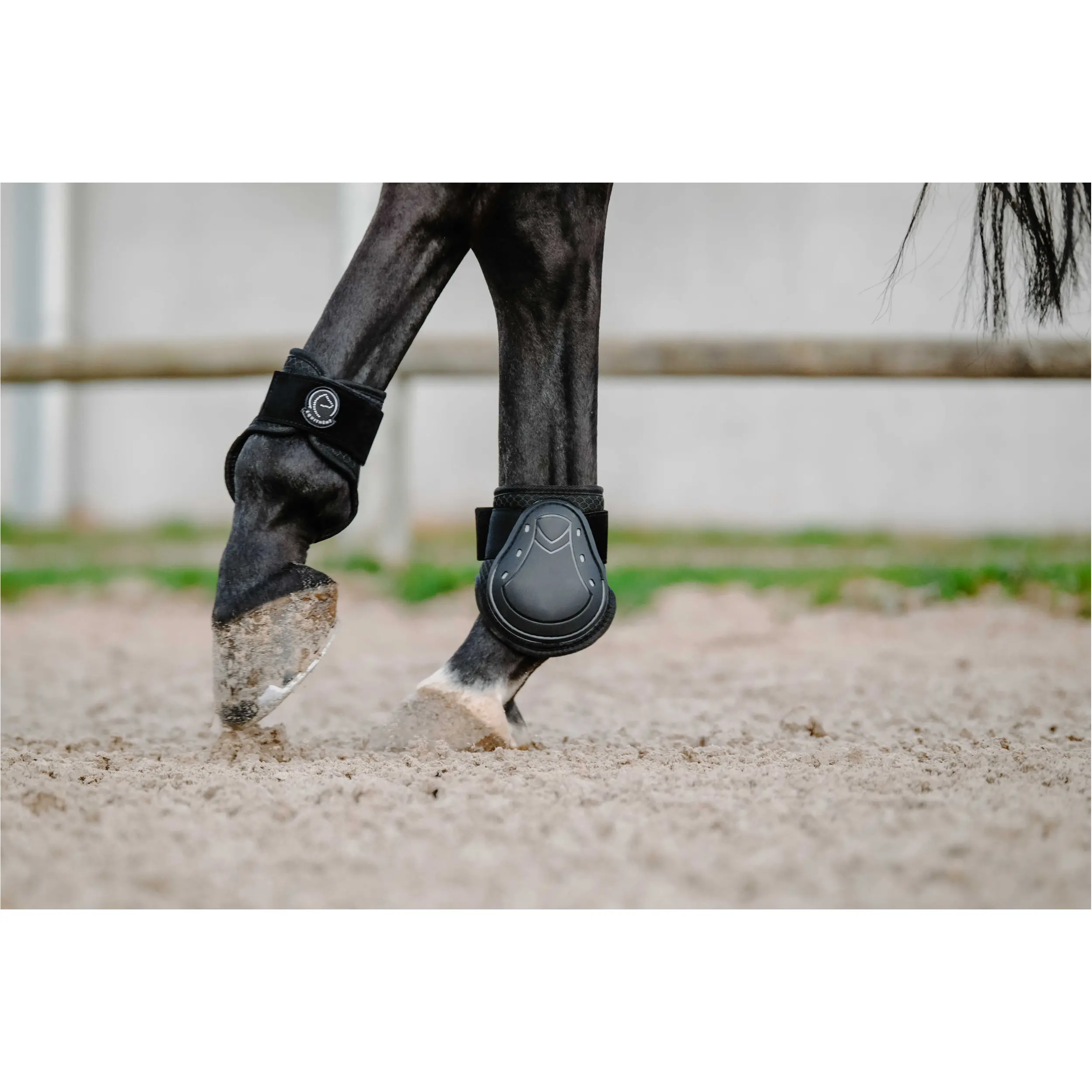 Gamaschen und Streichkappen Set Je t'aime schwarz Vollblut/Warmblut
