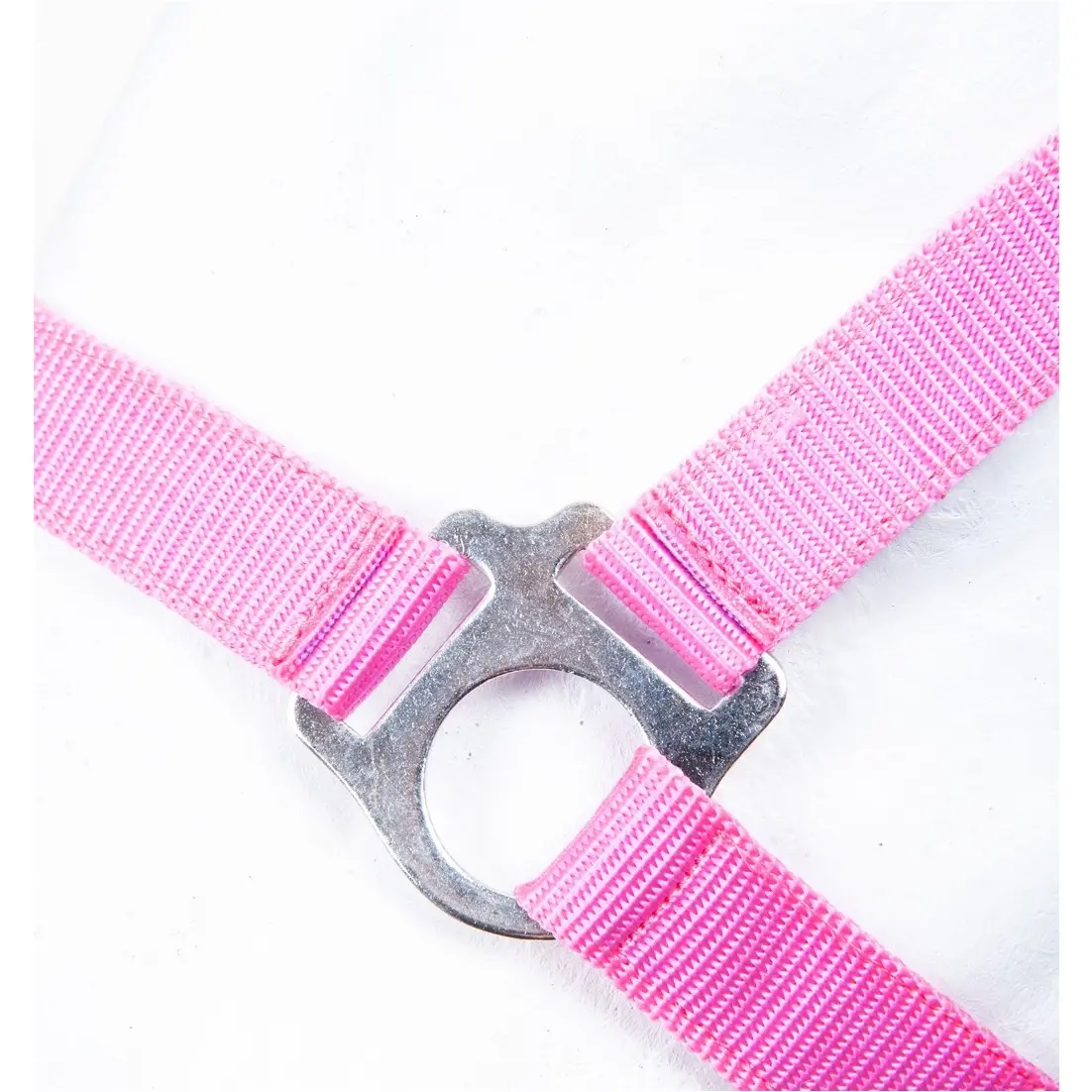 Halfter INNSBRUCK pink