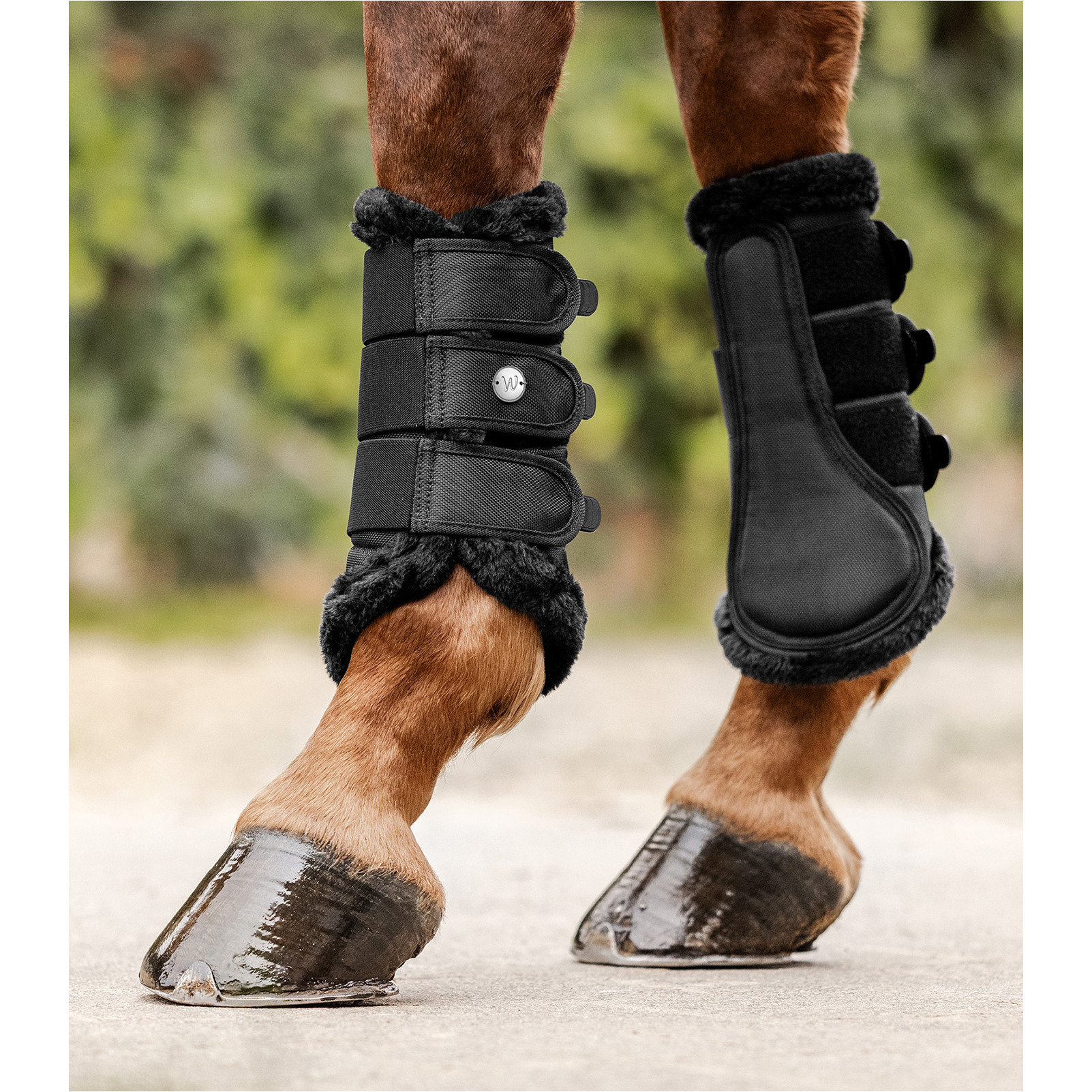 Dressurgamaschen COMFORT LIGHT schwarz