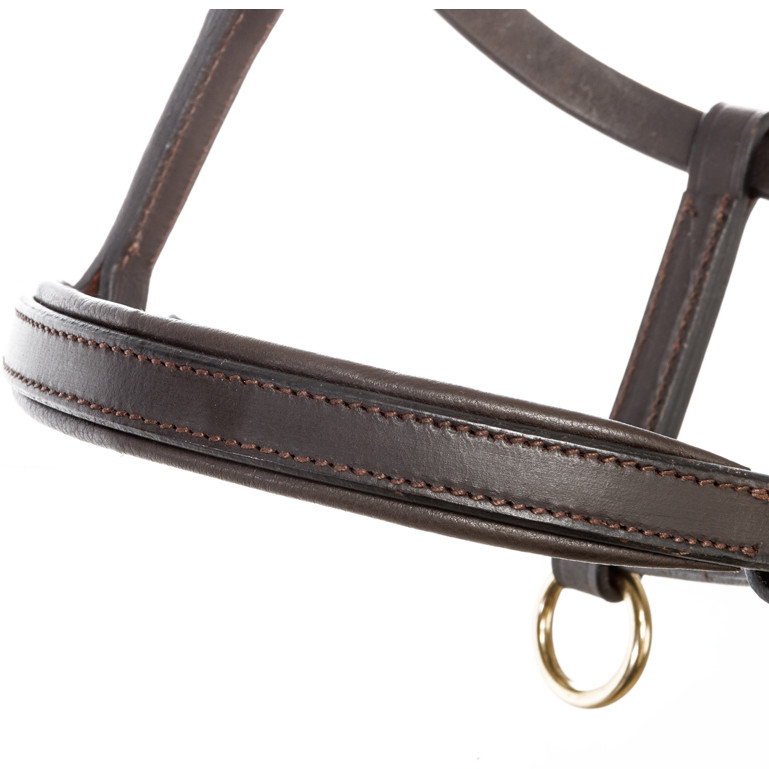 Fohlenhalfter Leder braun/messing