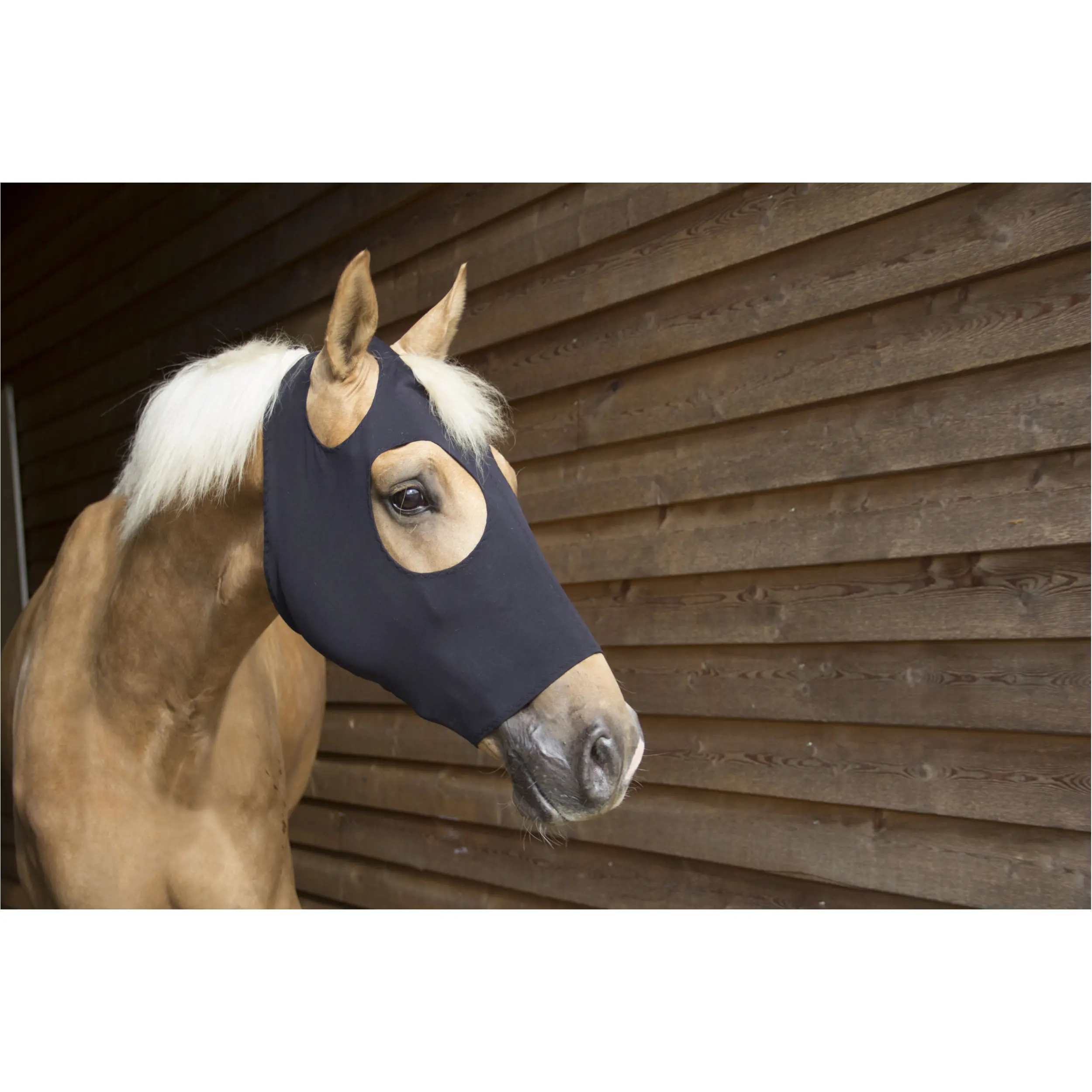 Maske FIR-Tech schwarz