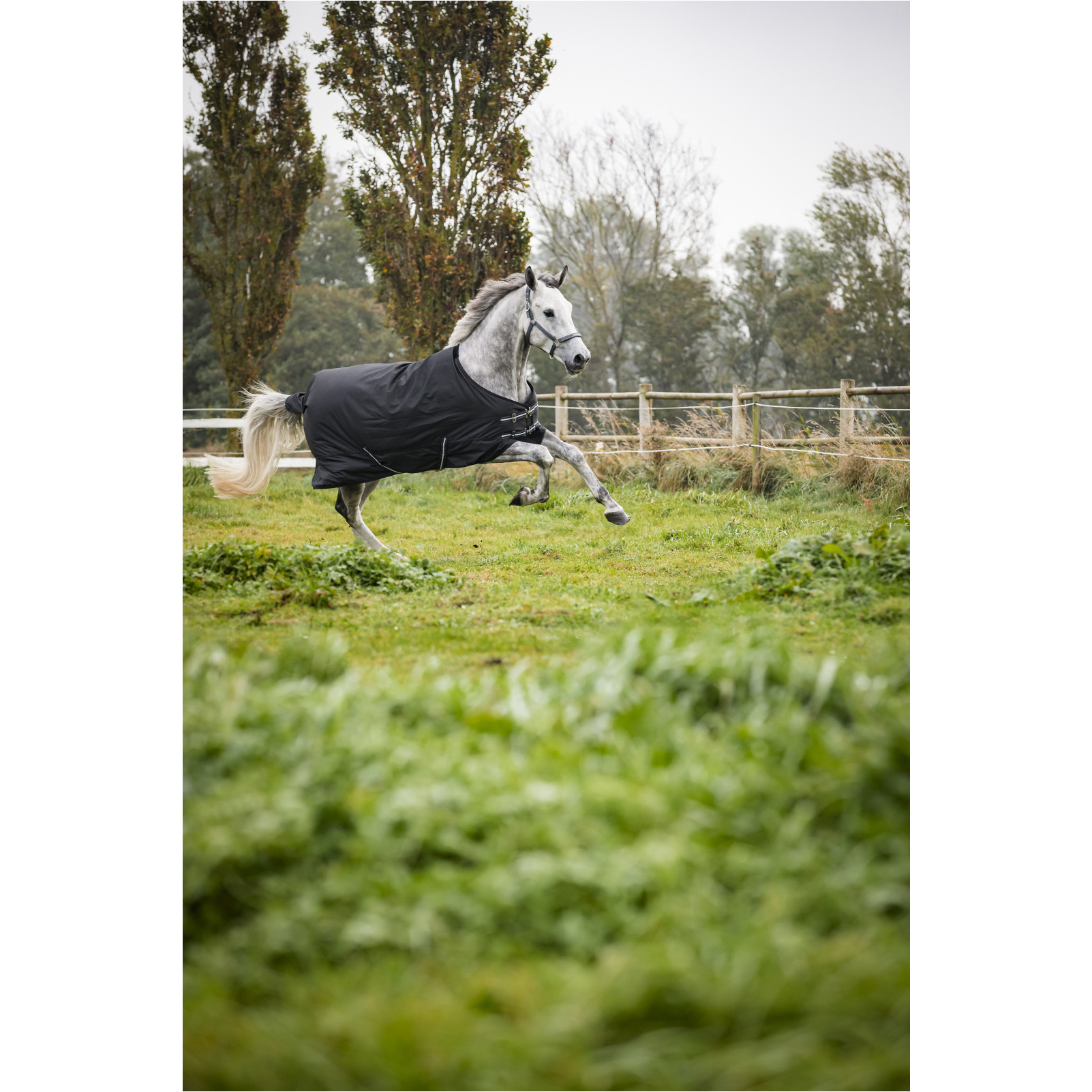 Winter Weidedecke 400g Füllung 600D schwarz