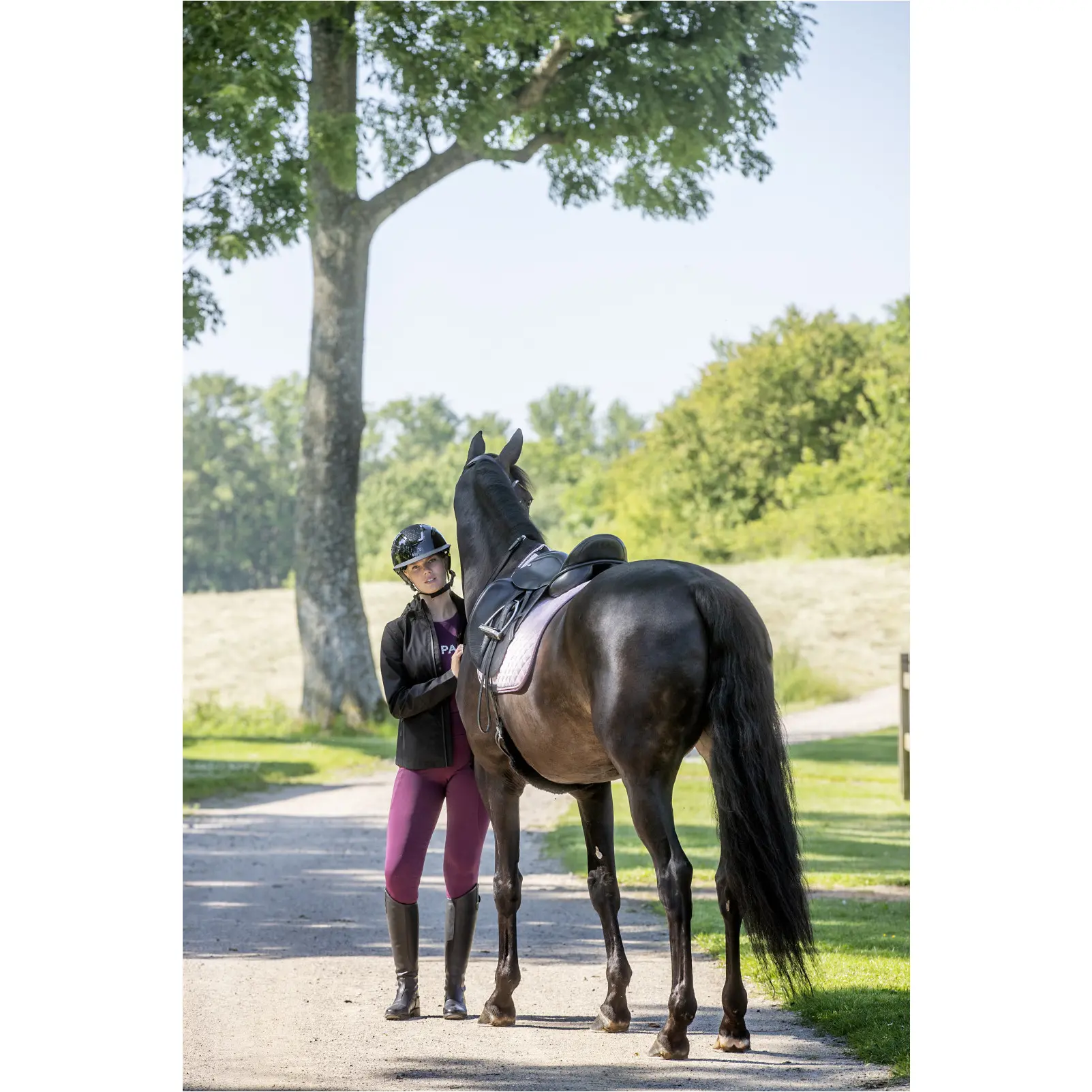 Schabracke MILVA winsome orchid Schabracke MILVA winsome orchid