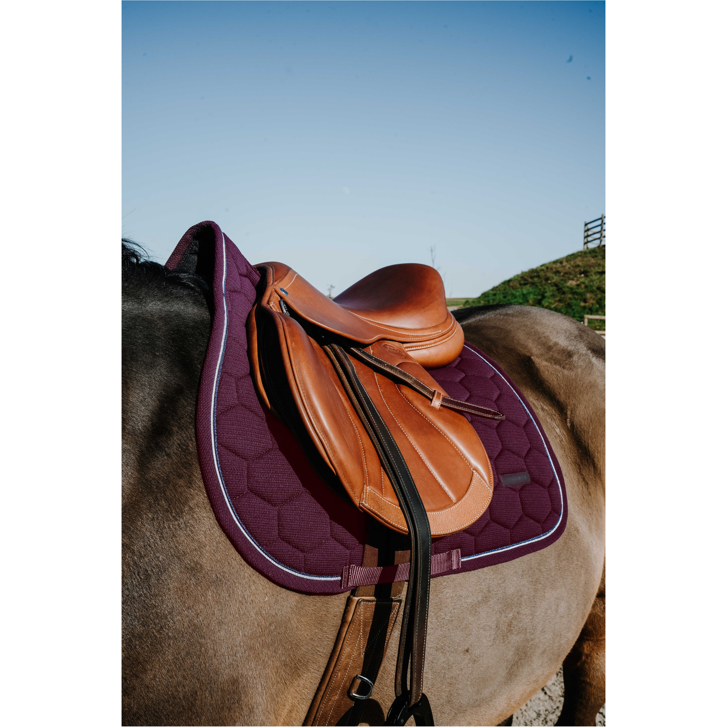 Schabracke HONEY burgunder Warmblut Vielseitigkeit