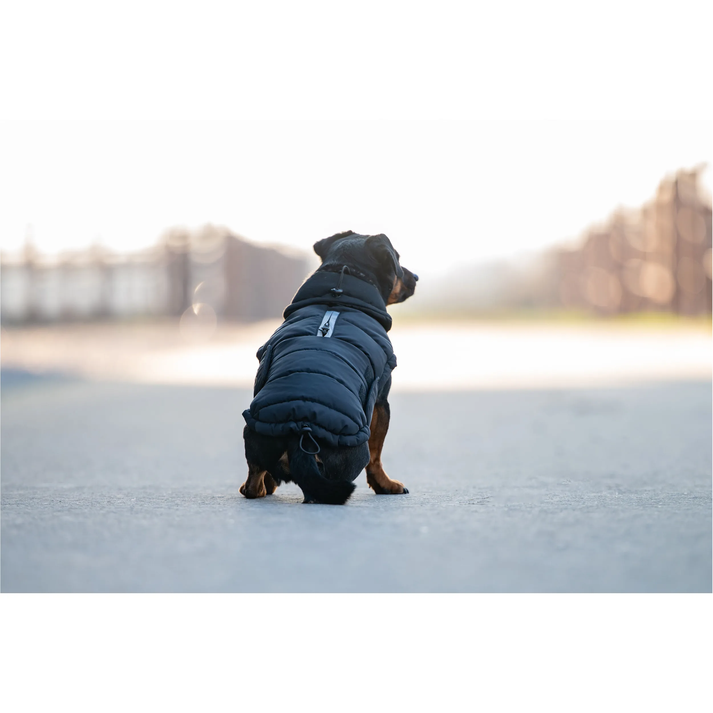 Hundedecke PUFFER FIR-Tech schwarz