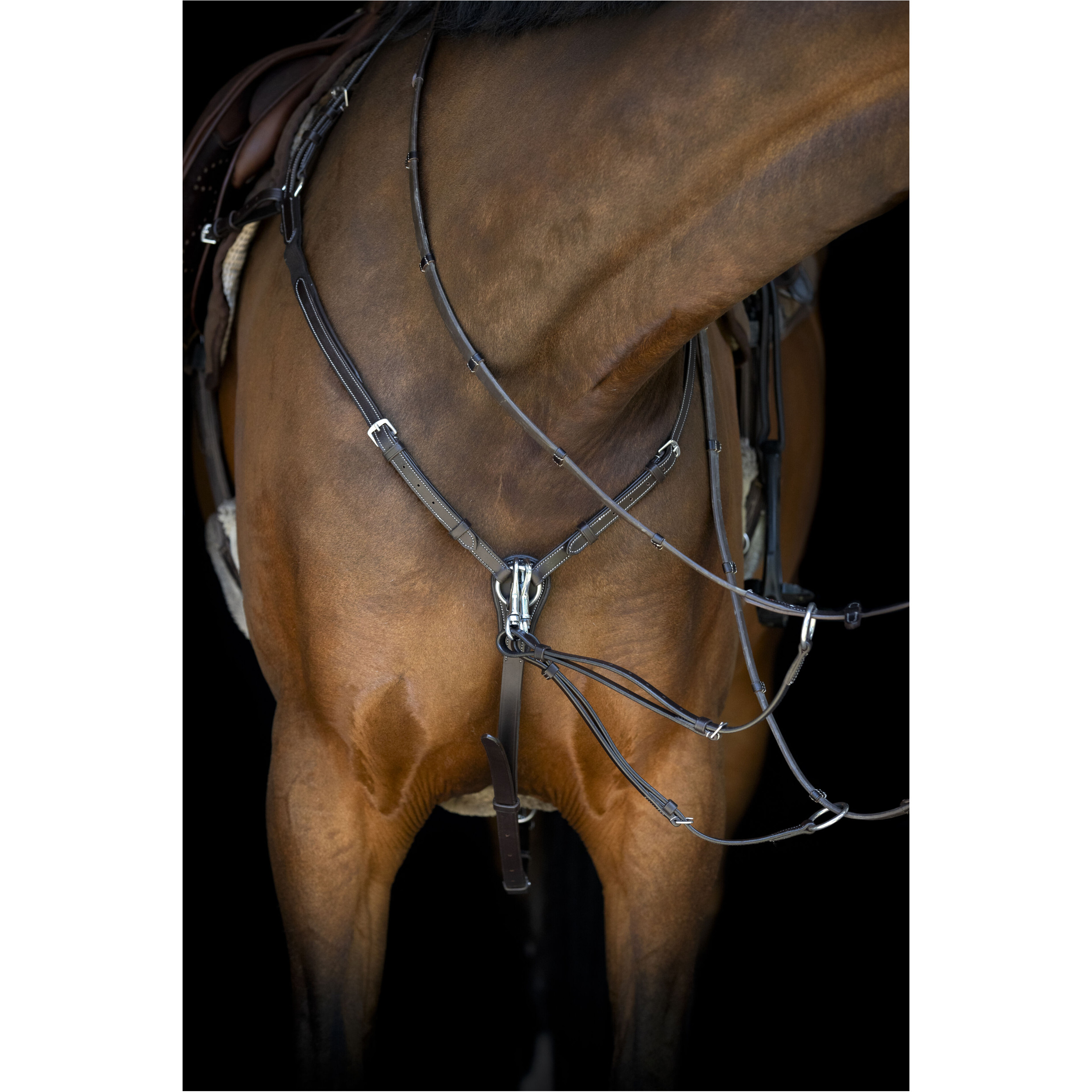 Vorderzeug mit abnehmbarem Martingal braun