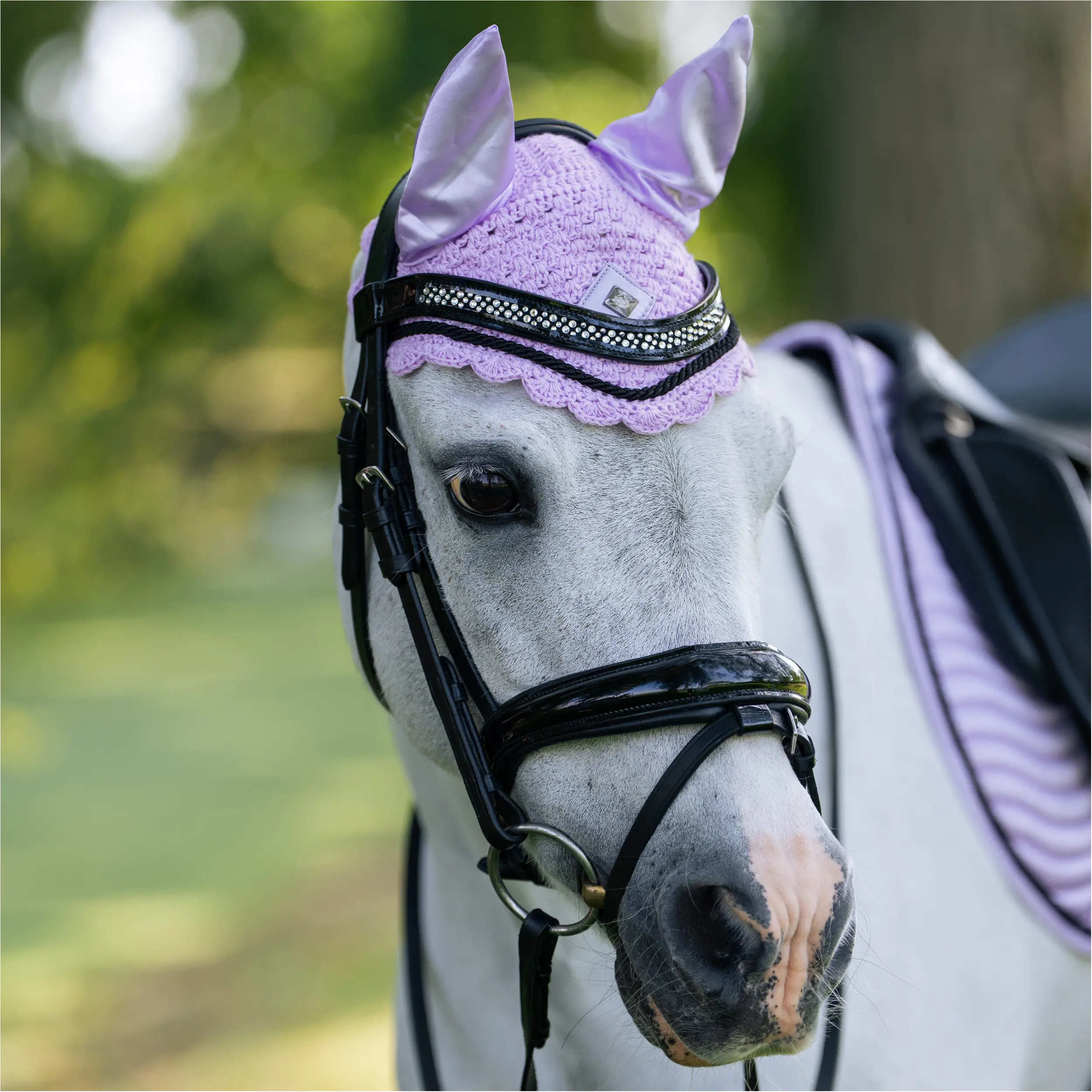 Fliegenhaube IRHRebel wisteria