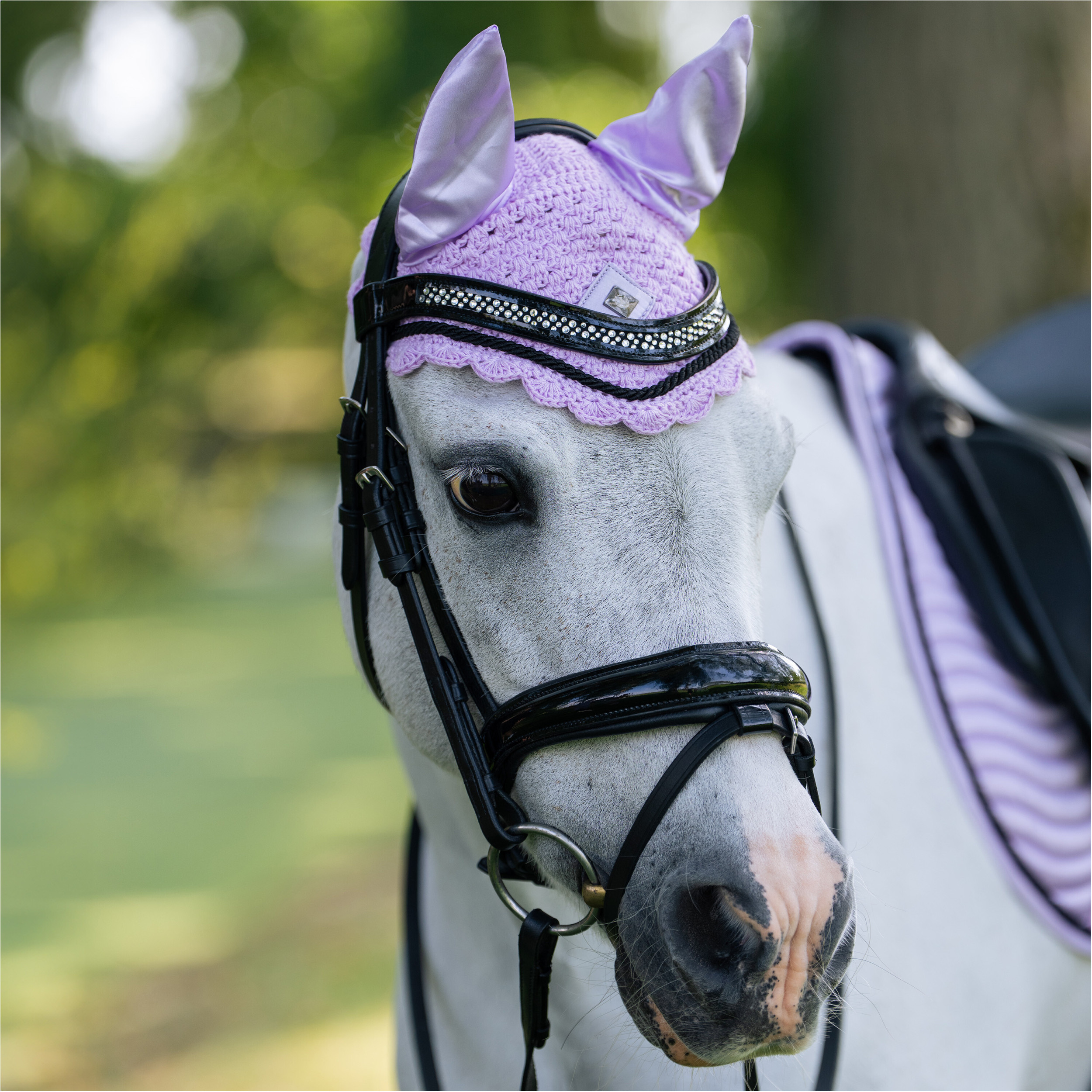 Fliegenhaube IRHRebel wisteria Fliegenhaube IRHRebel wisteria