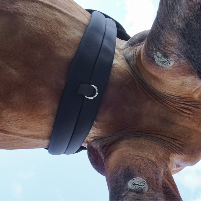 Langgurt ohne Elast KAVALPREN schwarz