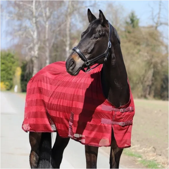 Halfter DIAMOND Leder schwarz