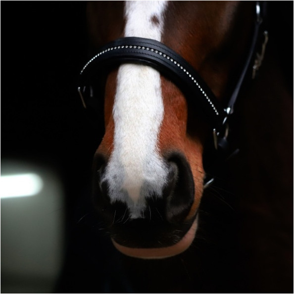 Halfter DIAMOND Leder schwarz