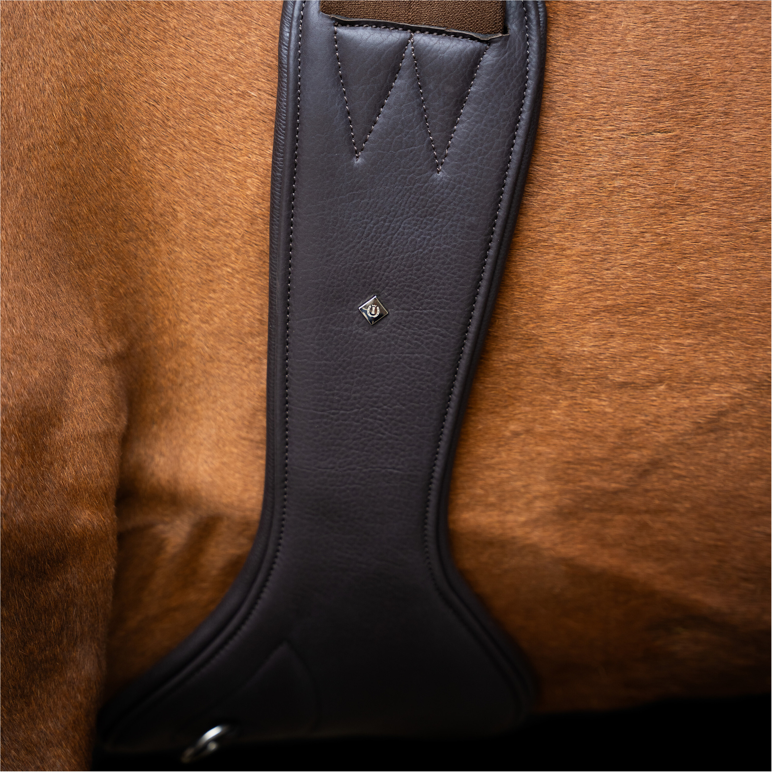 Stollengurt IRH anatomisch mit Rollenschnallen dark braun