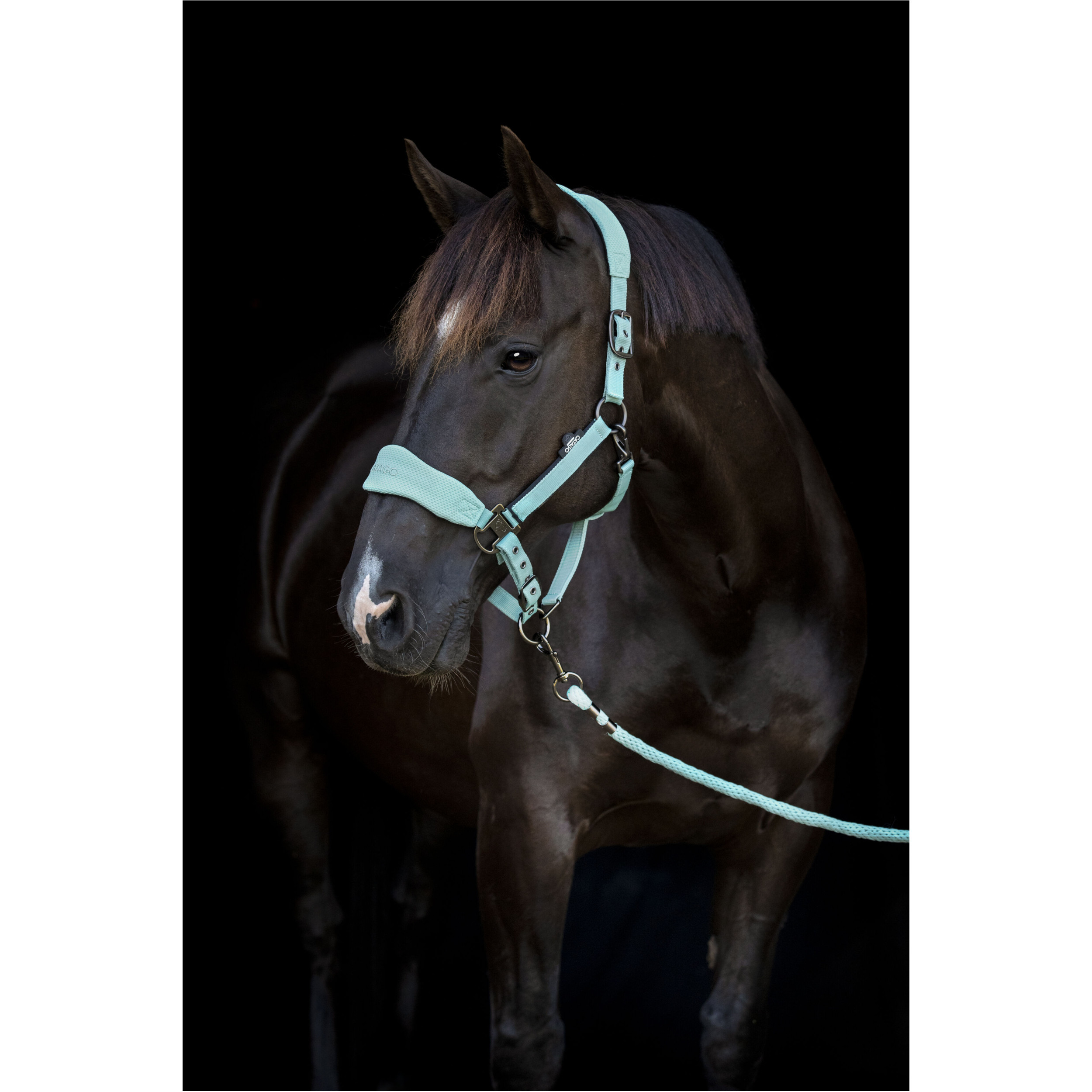 Halfter FIR-Tech blue surf