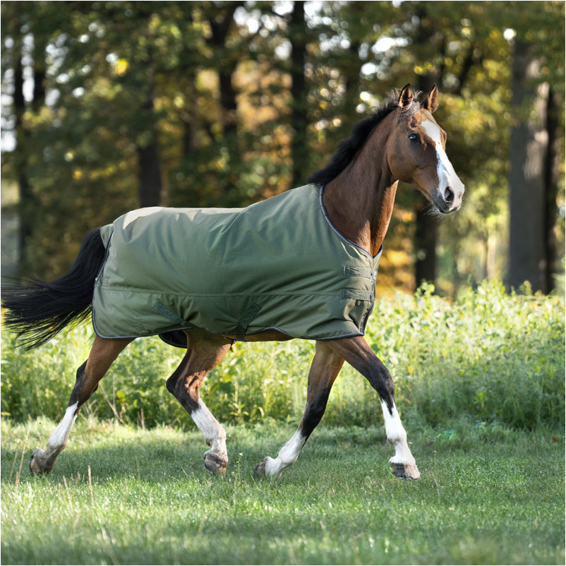 Outdoordecke 200g Füllung 1200D MONTREAL grün