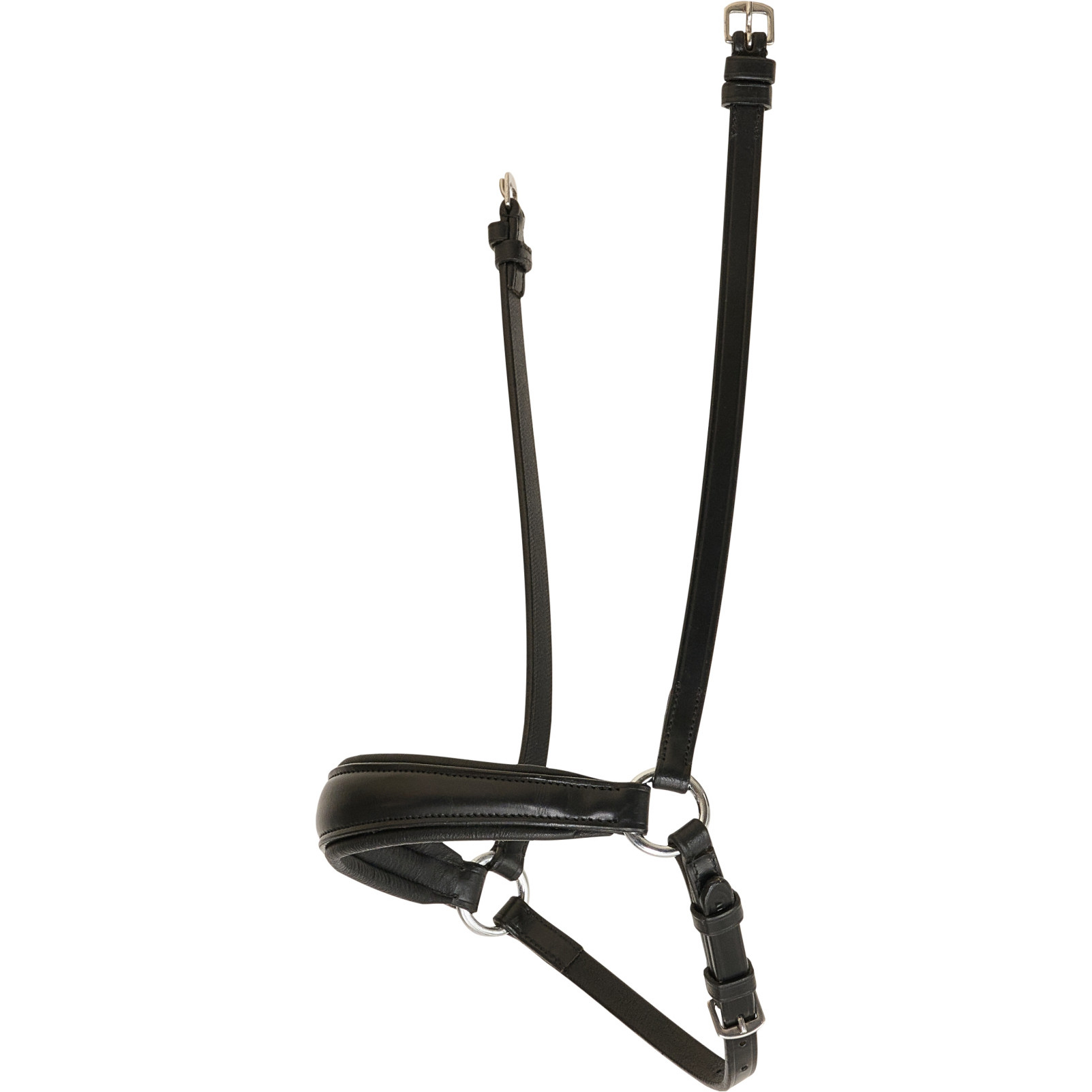 Reithalfter hannoveranisch schwarz