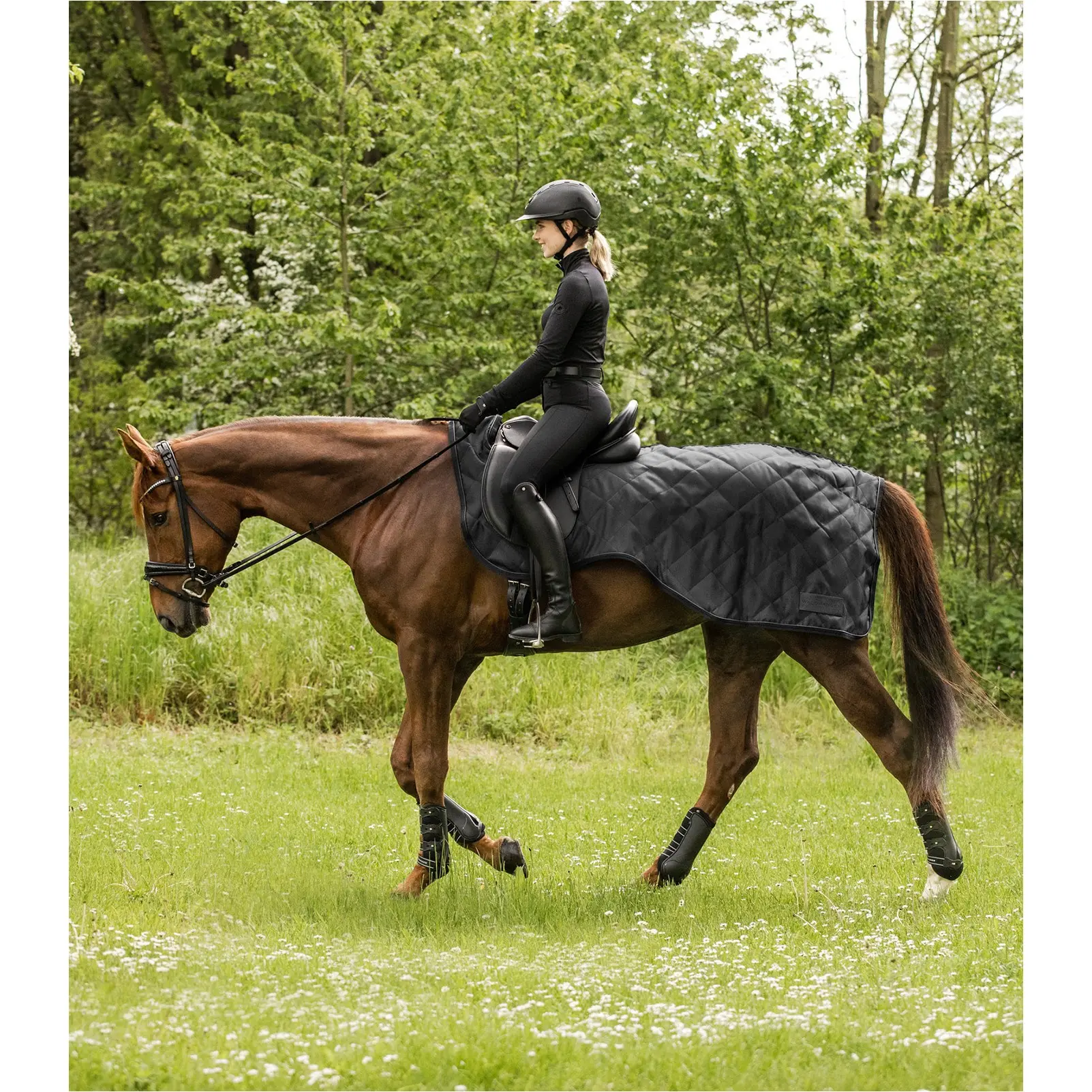 Nierendecke 50g Füllung EXCLUSIVE schwarz