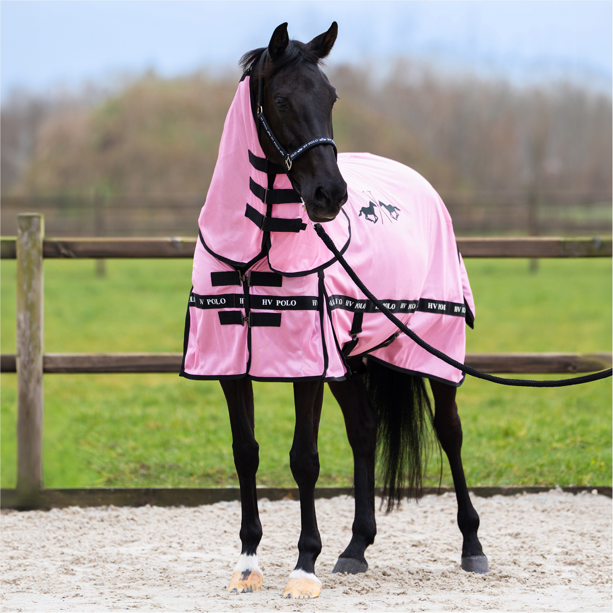 Fliegendecke mit Halsteil (abnehmbar) HVPNena pretty pink Fliegendecke mit Halsteil (abnehmbar) HVPNena pretty pink