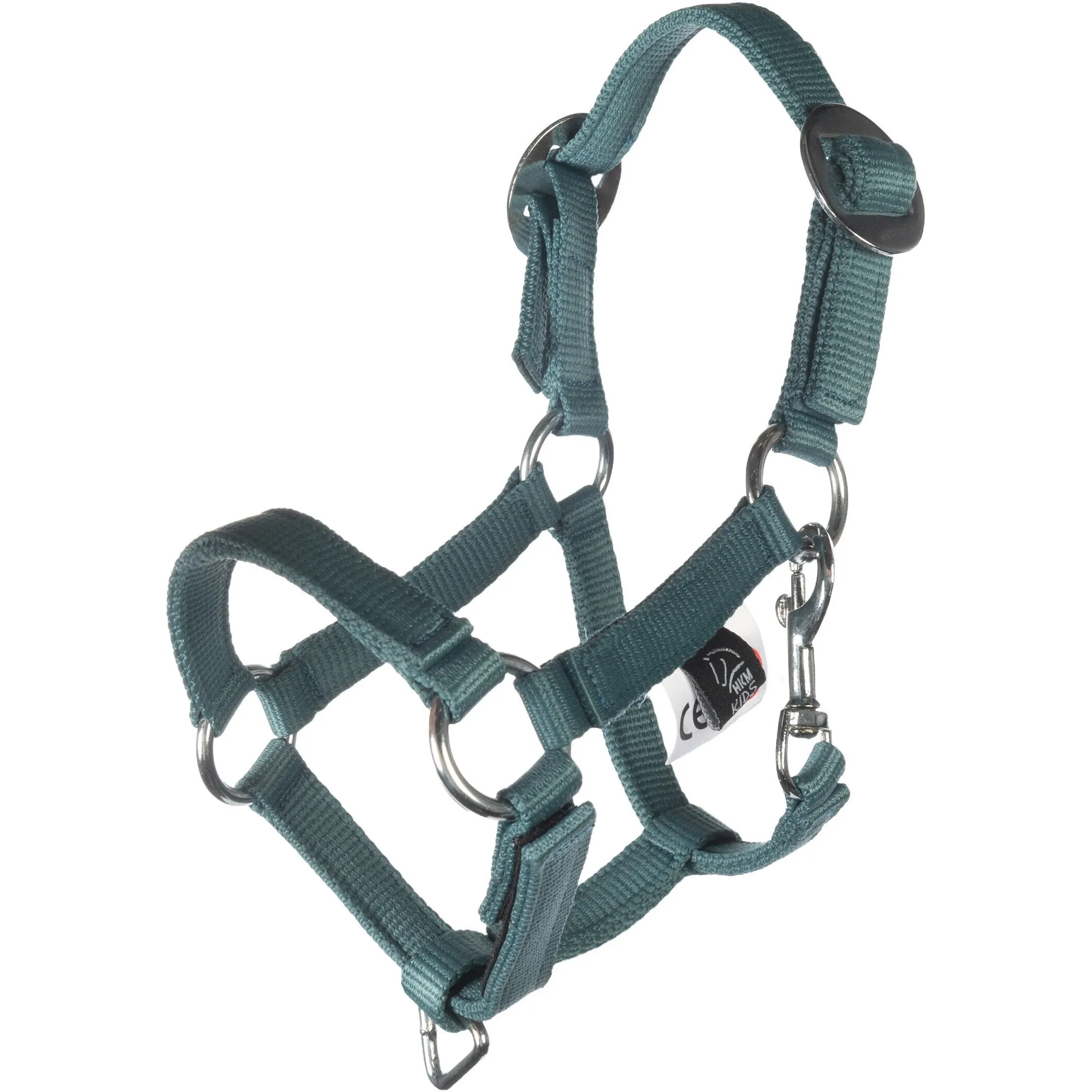 Halfter und Strick HOBBY HORSING BASIC türkis