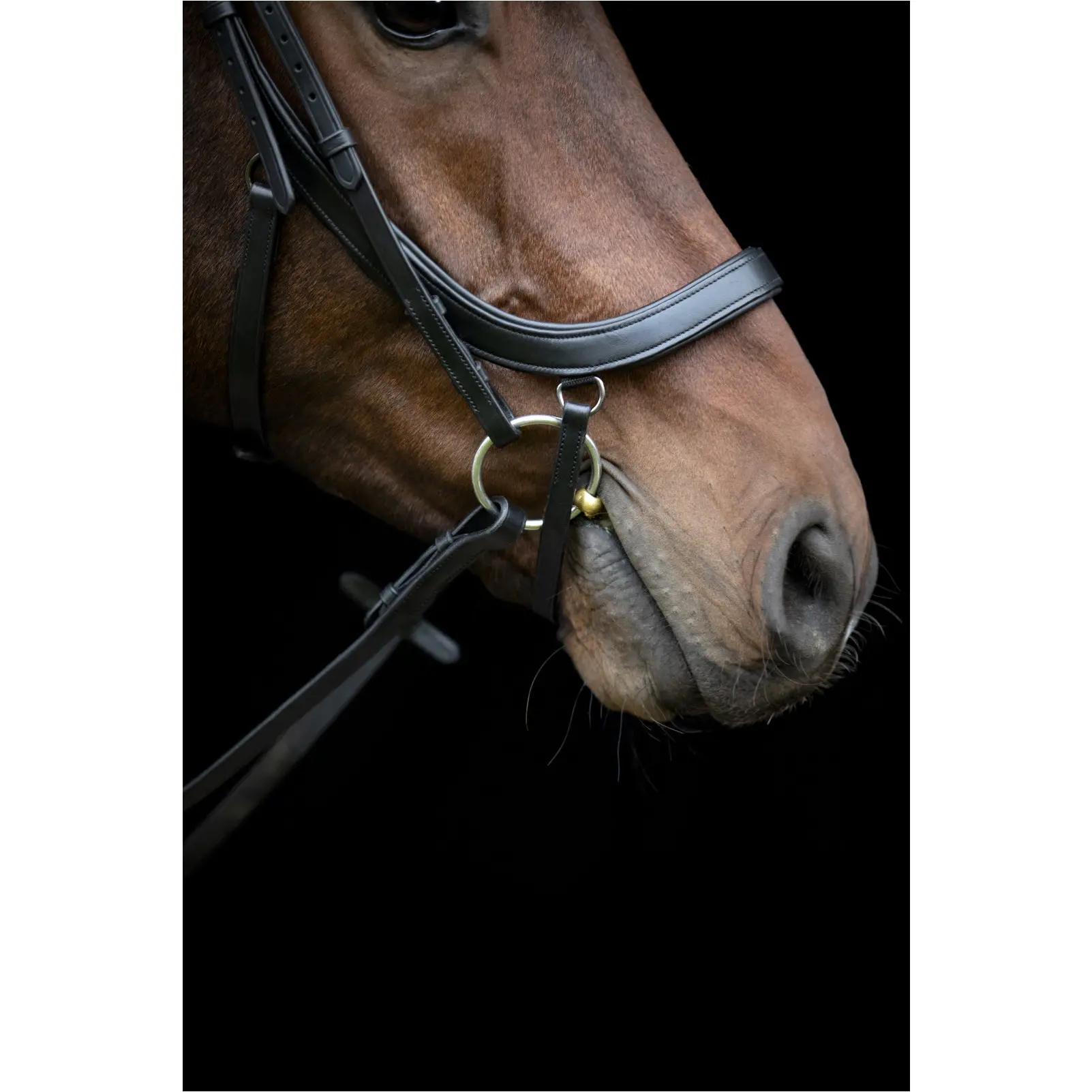 Trensenzaum anatomisch VINJA schwarz Trensenzaum anatomisch VINJA schwarz