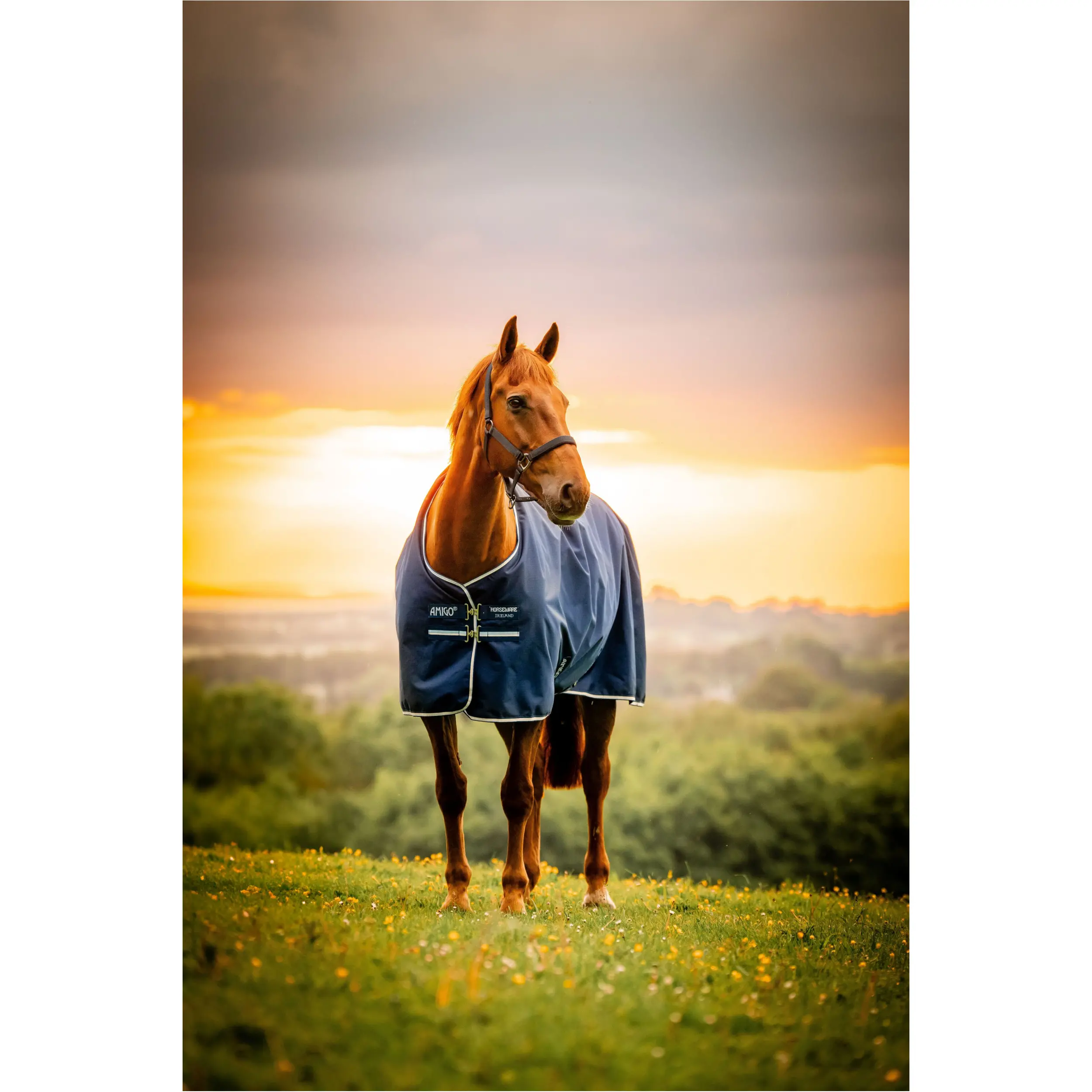 Outdoordecke 900D AMIGO Ripstop Turnout witney navy