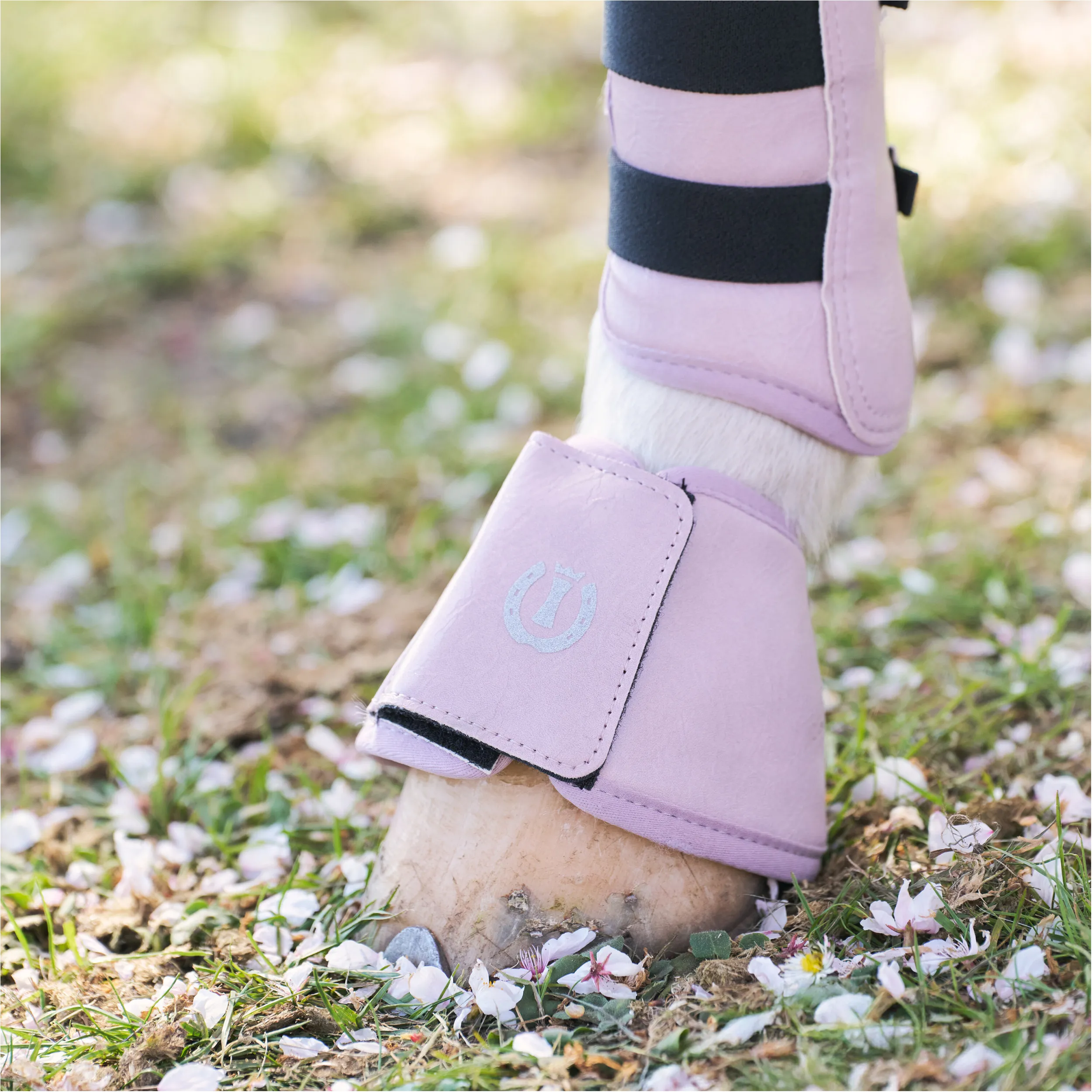 Hufglocken IRHRebel ballerina