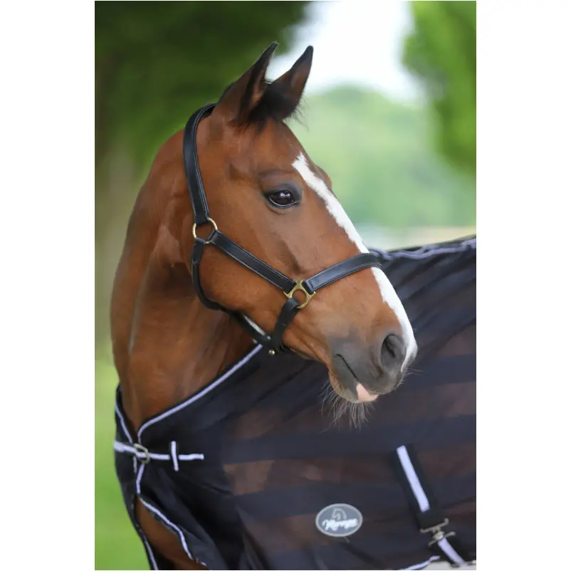 Halfter ROBUST Leder schwarz