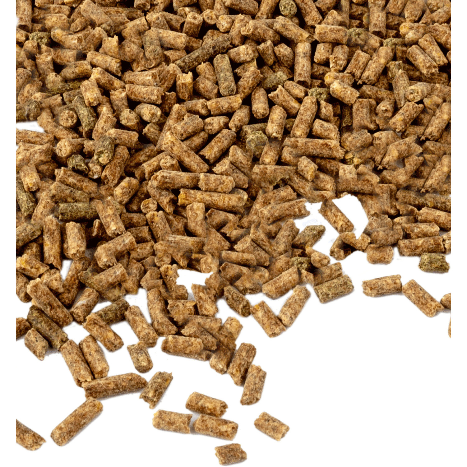 Vitamin E - Für Leistung & Belastbarkeit 1000g