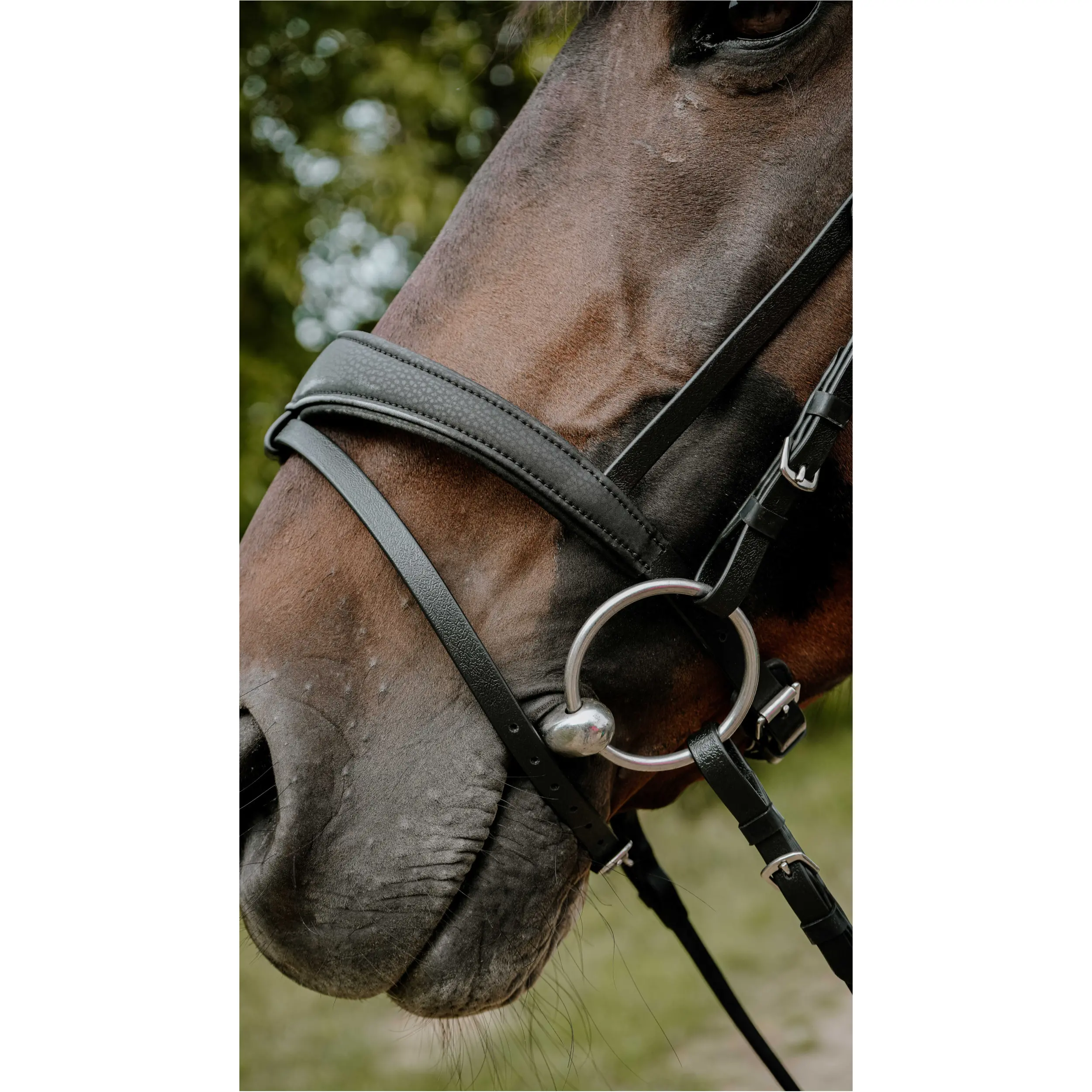Trensenzaum ENDURANCE POP schwarz