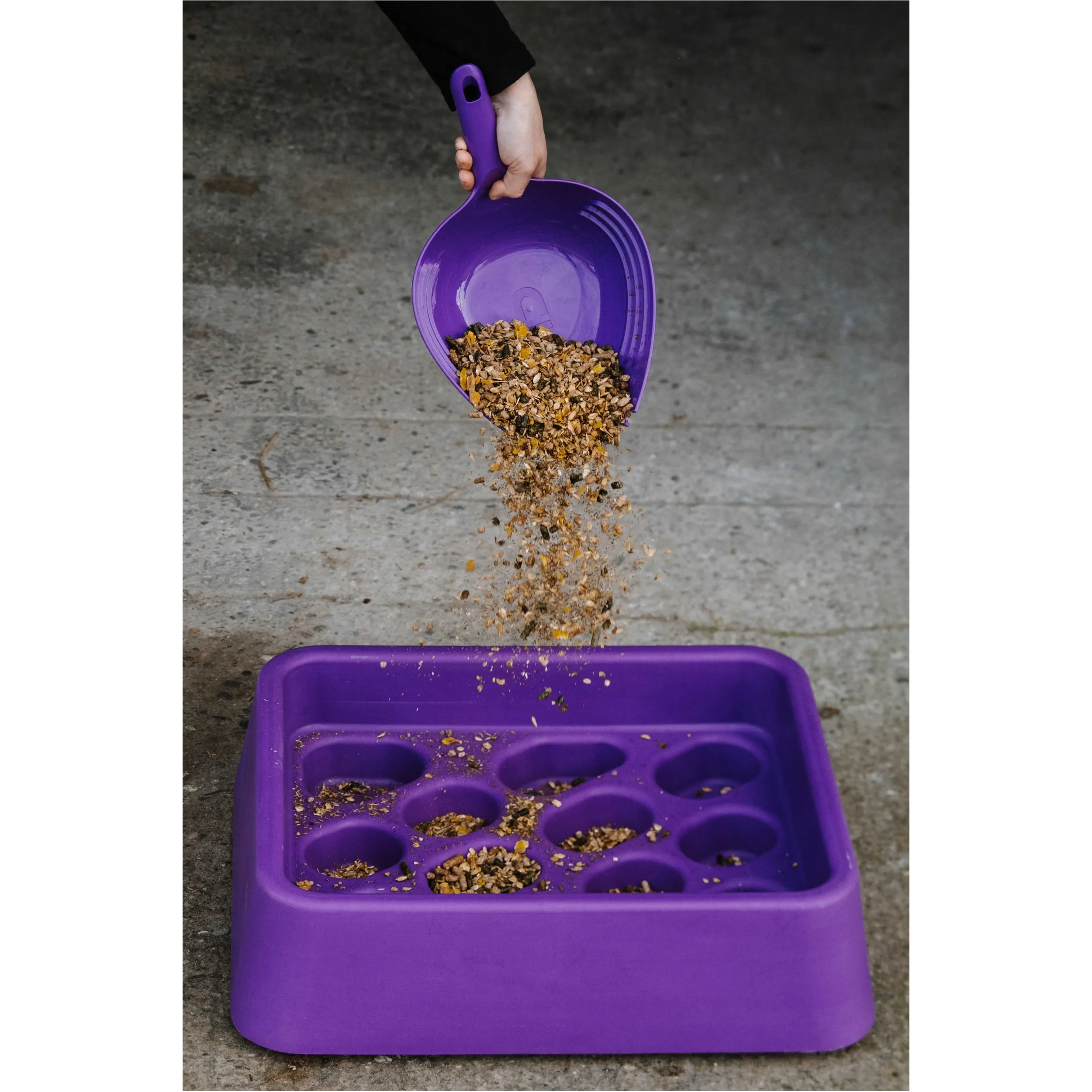 Anti-Schling-Futtertrog violett