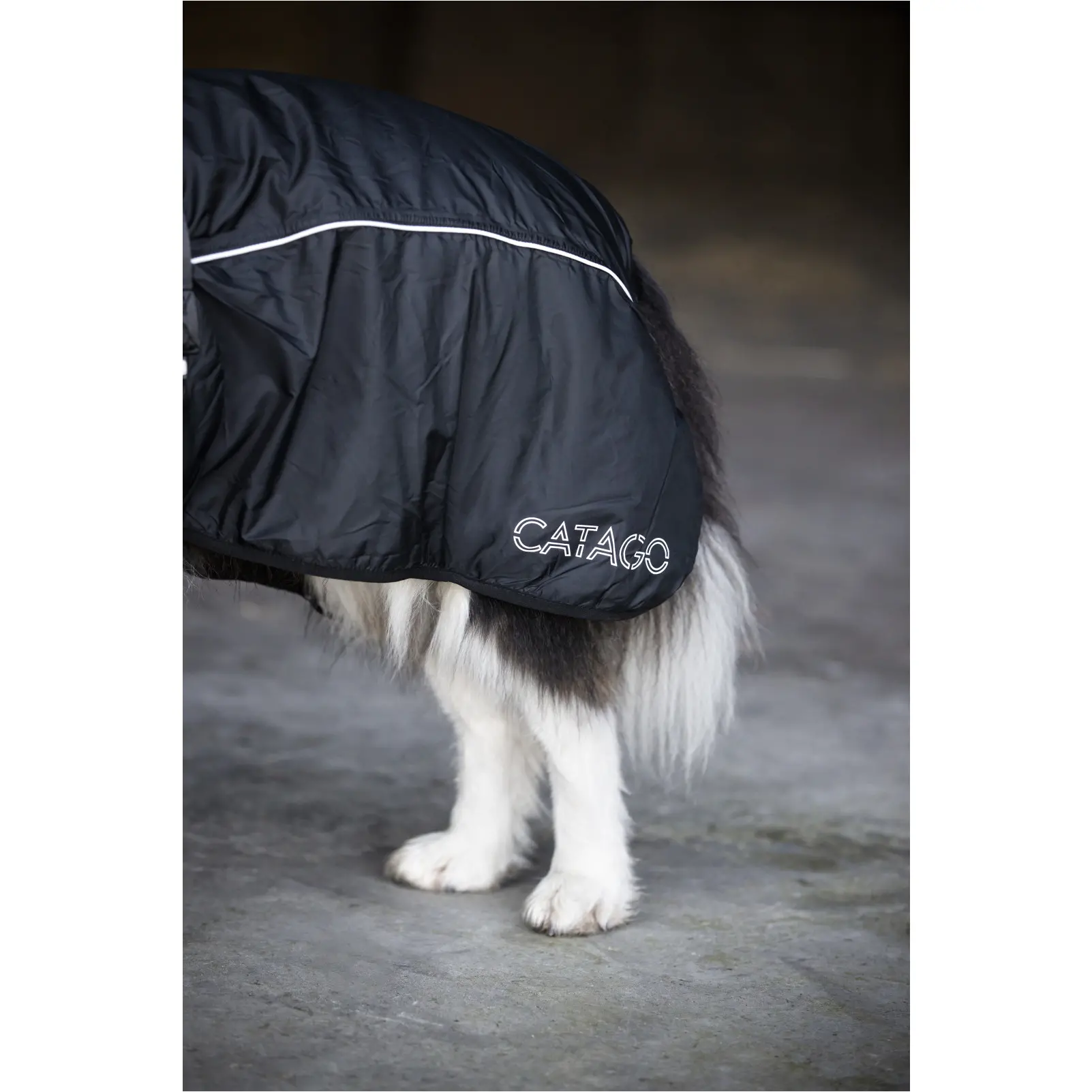 Winter Hundedecke FIR-Tech schwarz