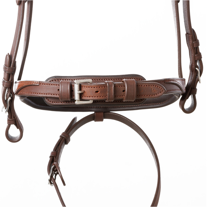Trensenzaum englisch kombiniert EVERNESS Leder geölt braun