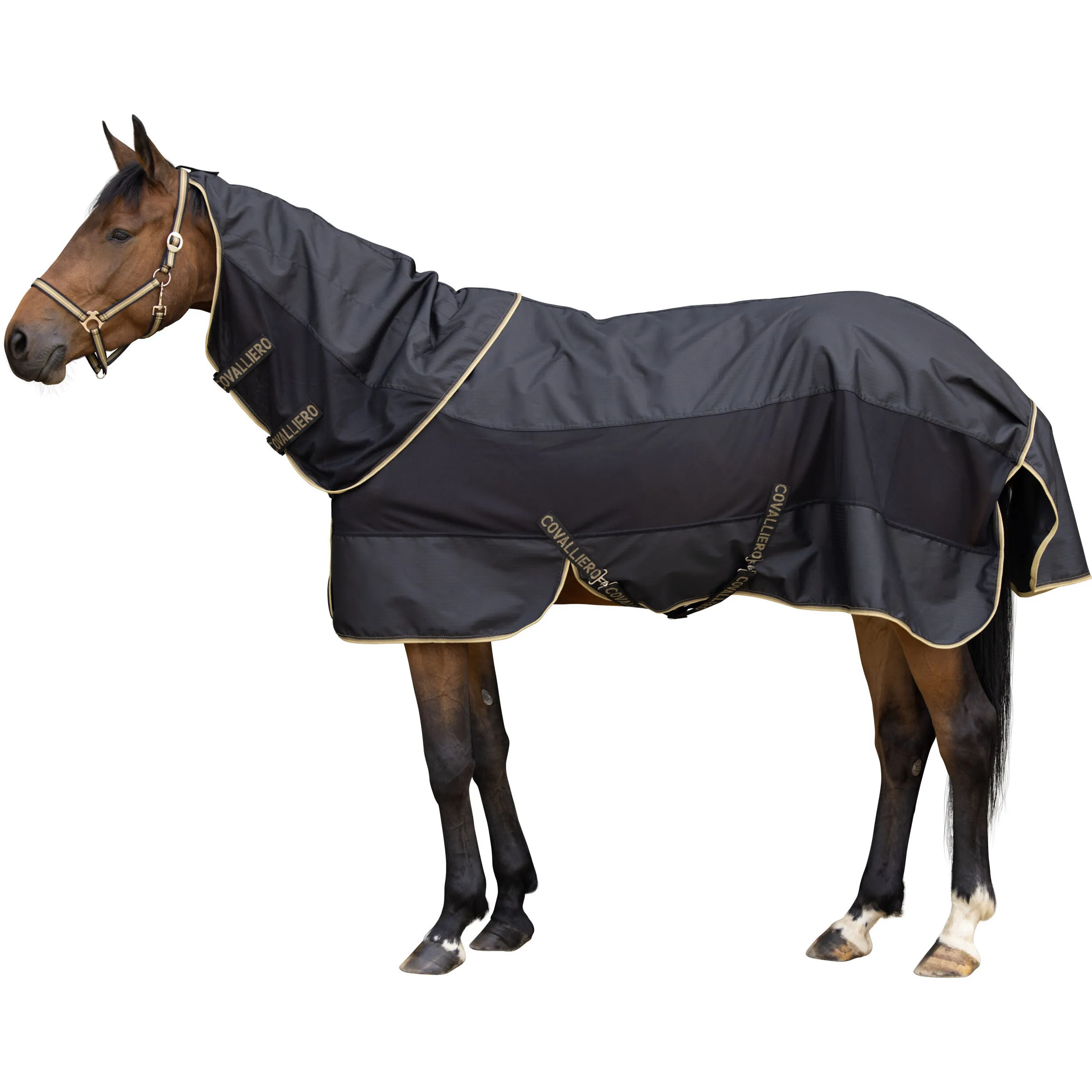 Regendecke Halsteil (abnehmbar) F/S 2026 black