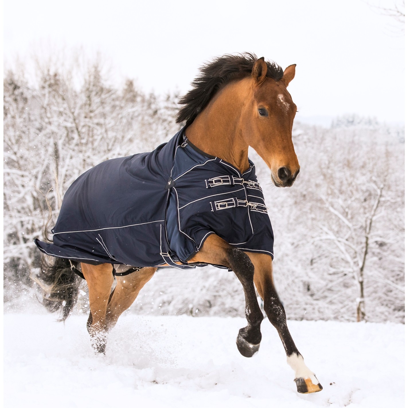 Outdoordecke 50g Füllung 1200D COMFORT nachtblau