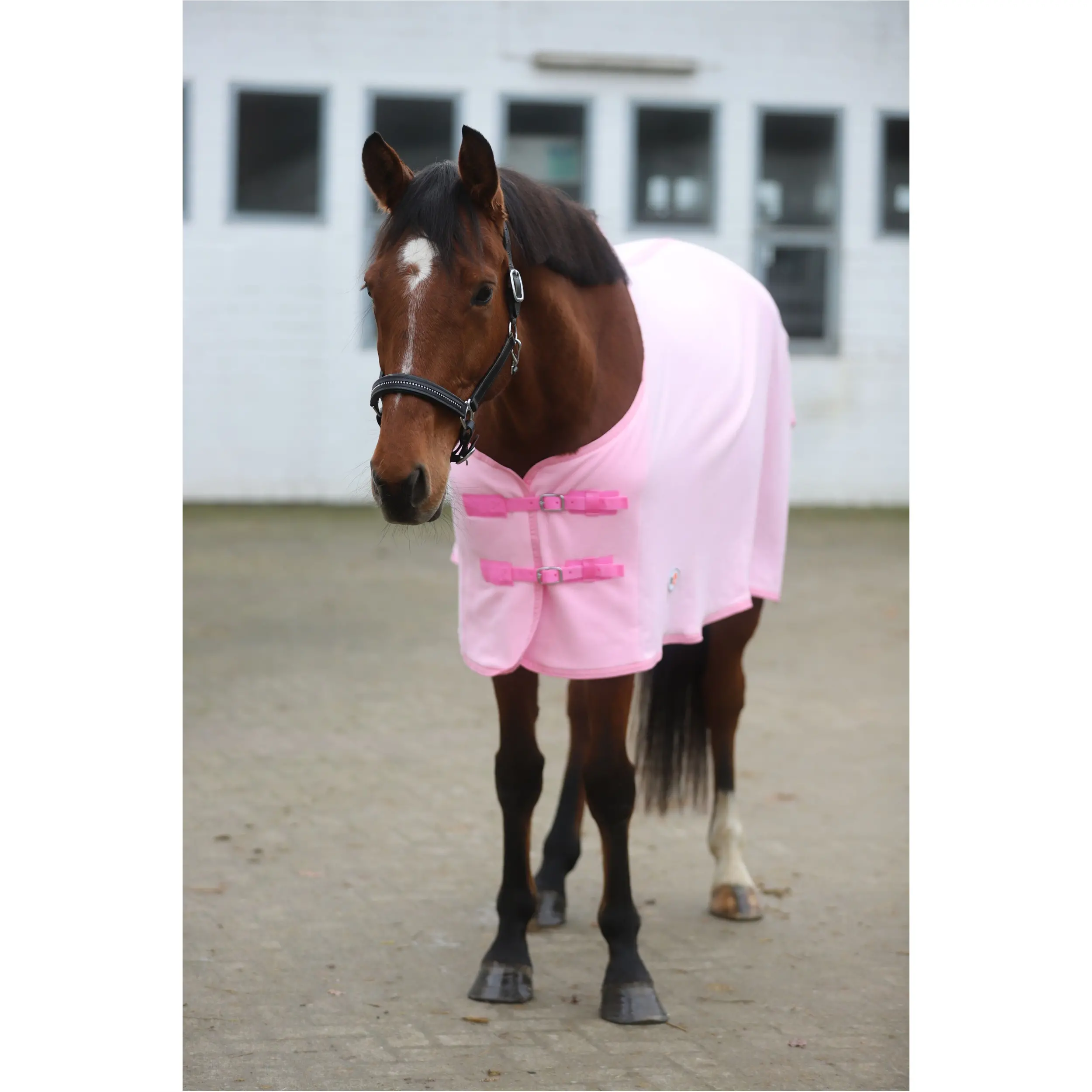 Abschwitzdecke BASICLINE rosa