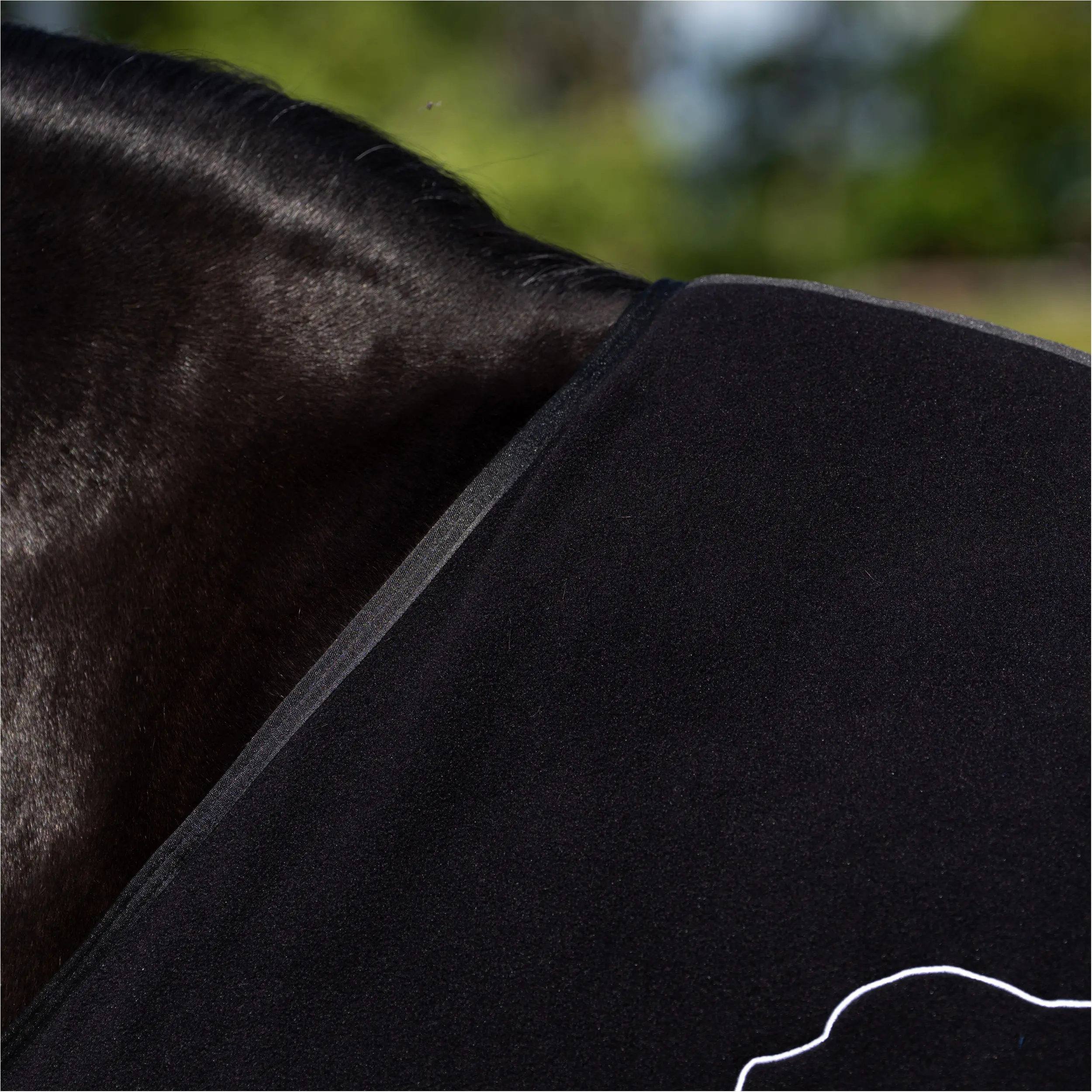 Fleecedecke abnehmbare Kreuzgurte HVPBasic schwarz Fleecedecke abnehmbare Kreuzgurte HVPBasic schwarz