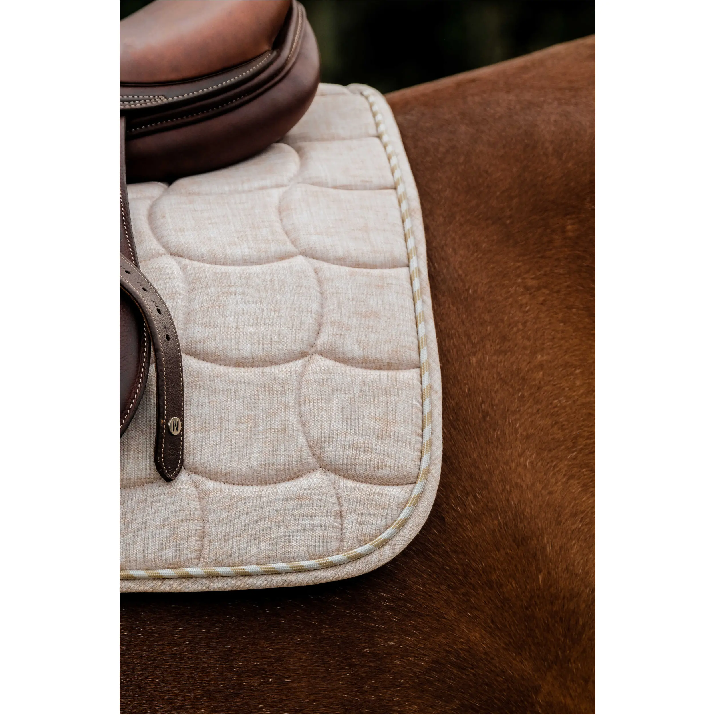 Schabracke SUNSHINE beige Warmblut Vielseitigkeit Schabracke SUNSHINE beige Warmblut Vielseitigkeit