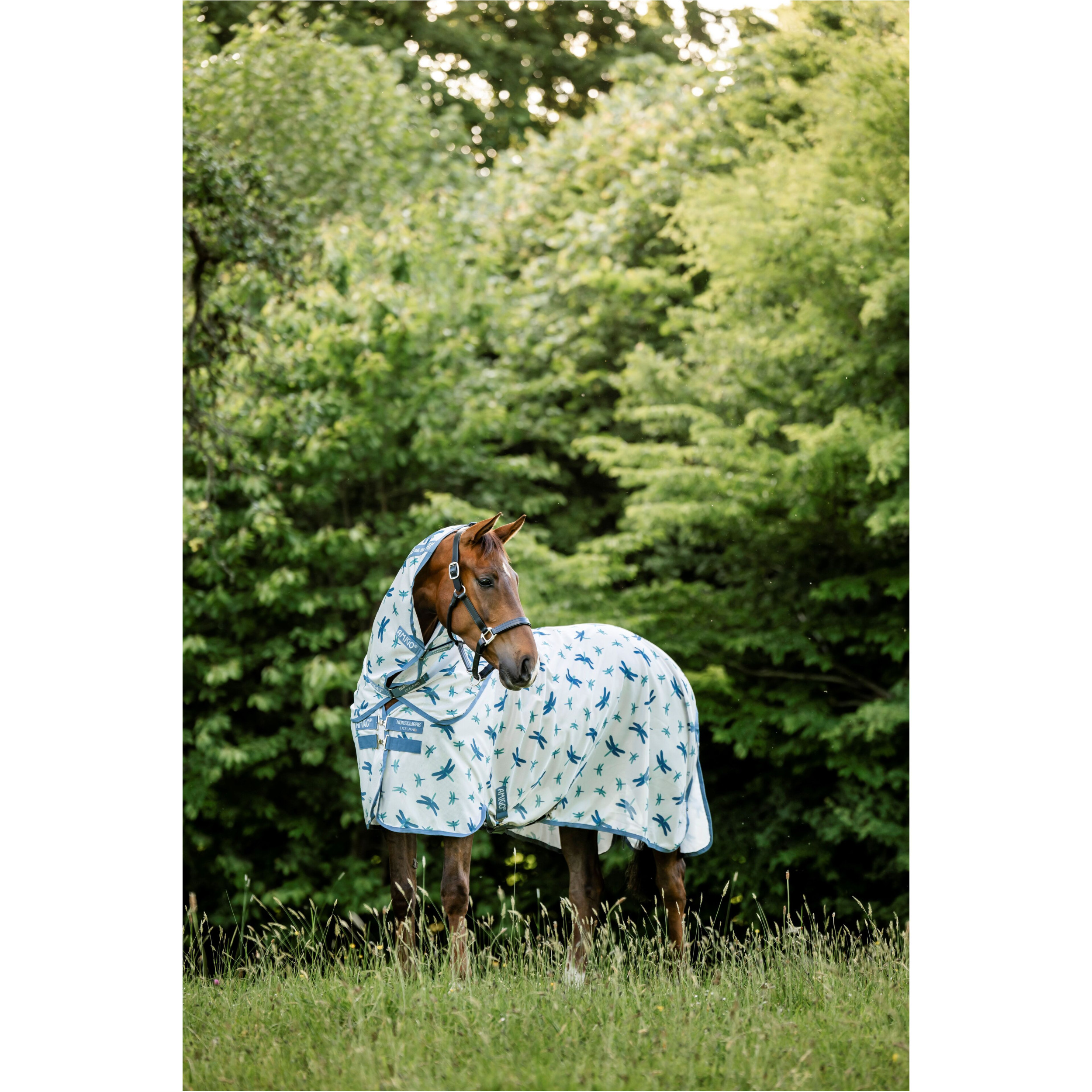 Fliegendecke mit Halsteil (abnehmbar) AMIGO Bug Rug Plus dragonfly print/silver/blue/sage