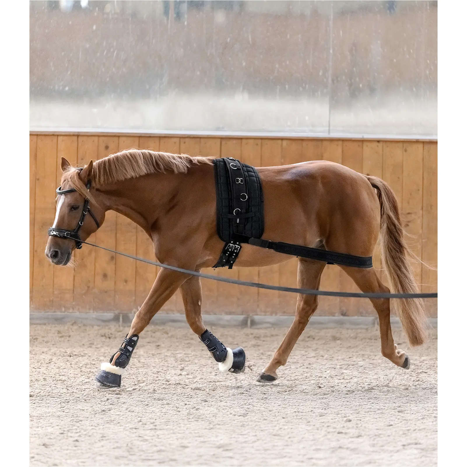 Körperbandage schwarz Vollblut/Warmblut