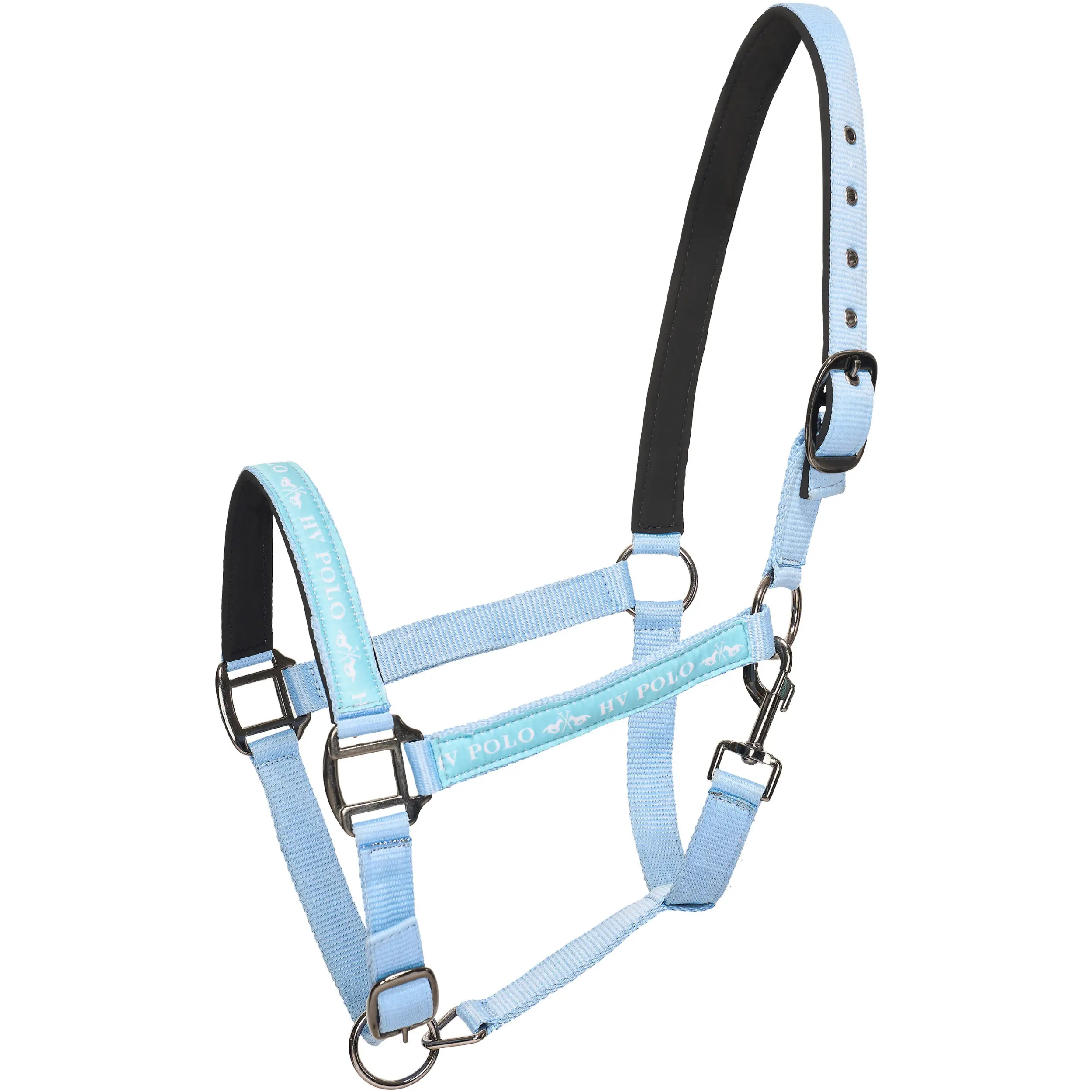 powder blue