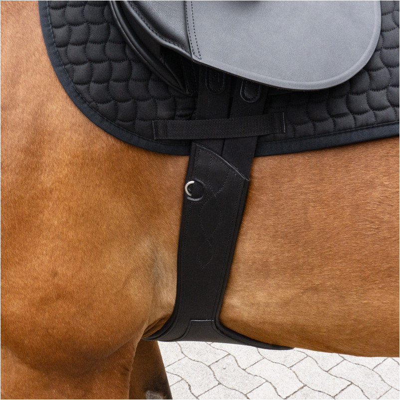 Sattelgurt mit Bauchlatz und Elast STANDARD schwarz