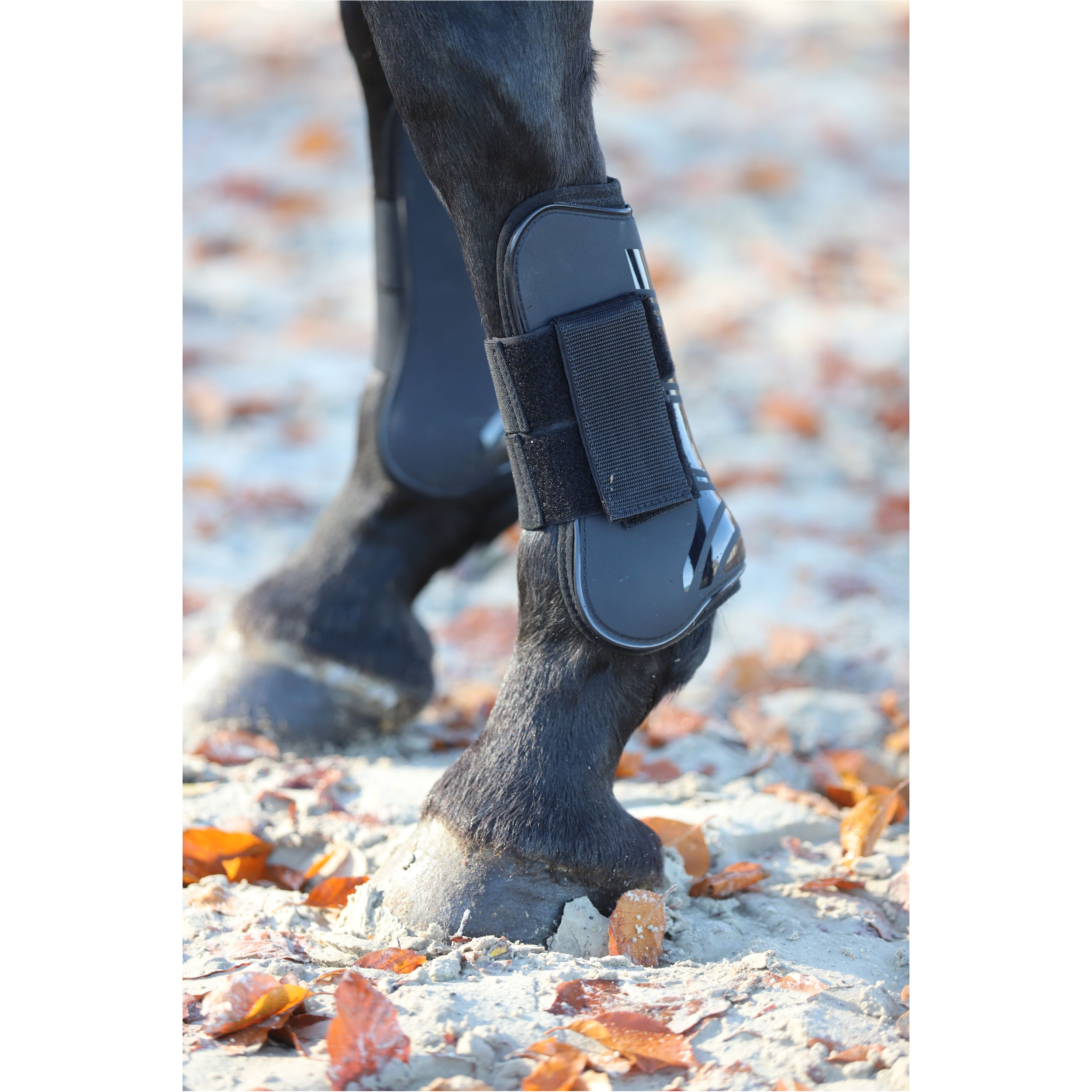 Gamaschen & Streichkappen (4er Set) schwarz Gamaschen & Streichkappen (4er Set) schwarz