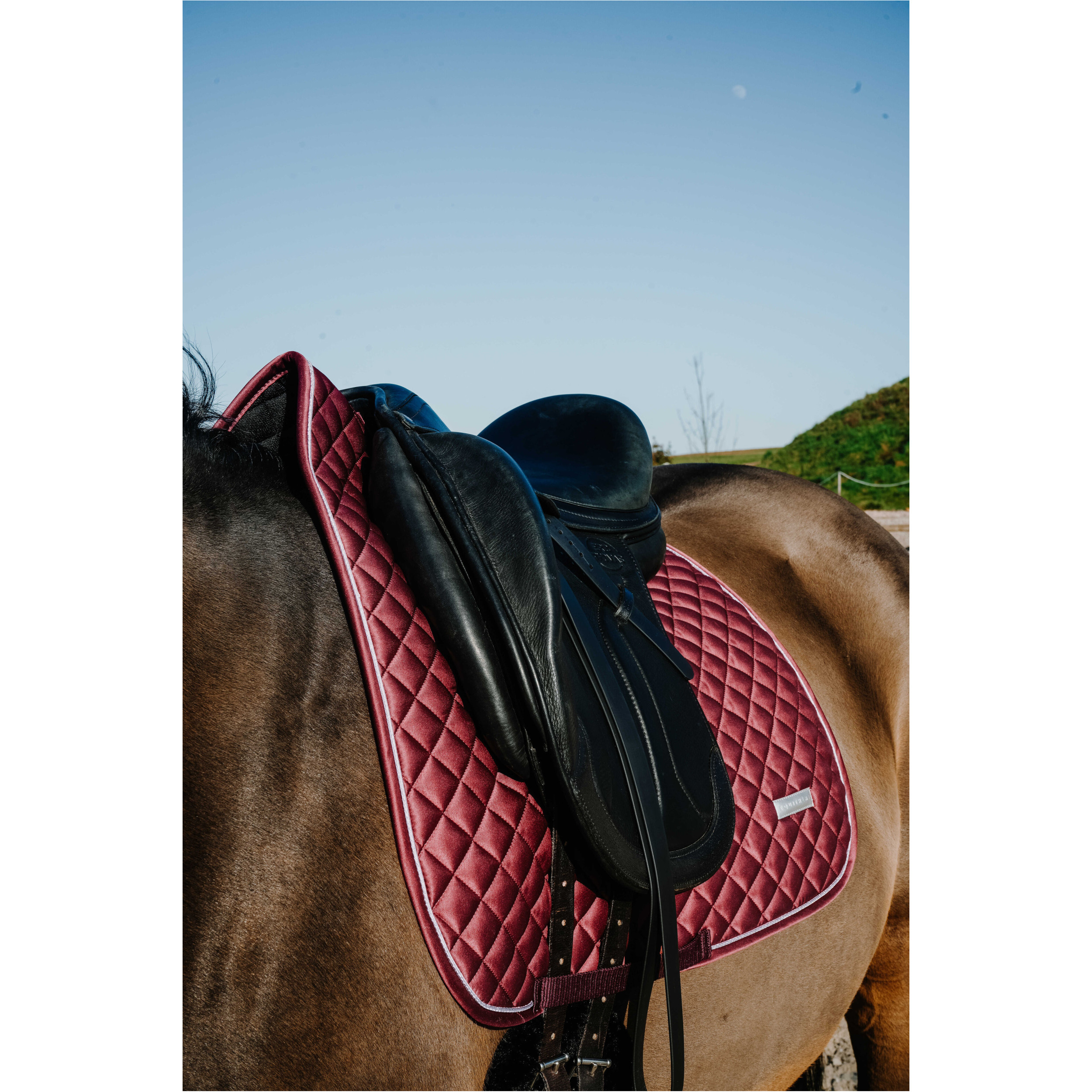Dressurschabracke NACRE bordeaux Warmblut