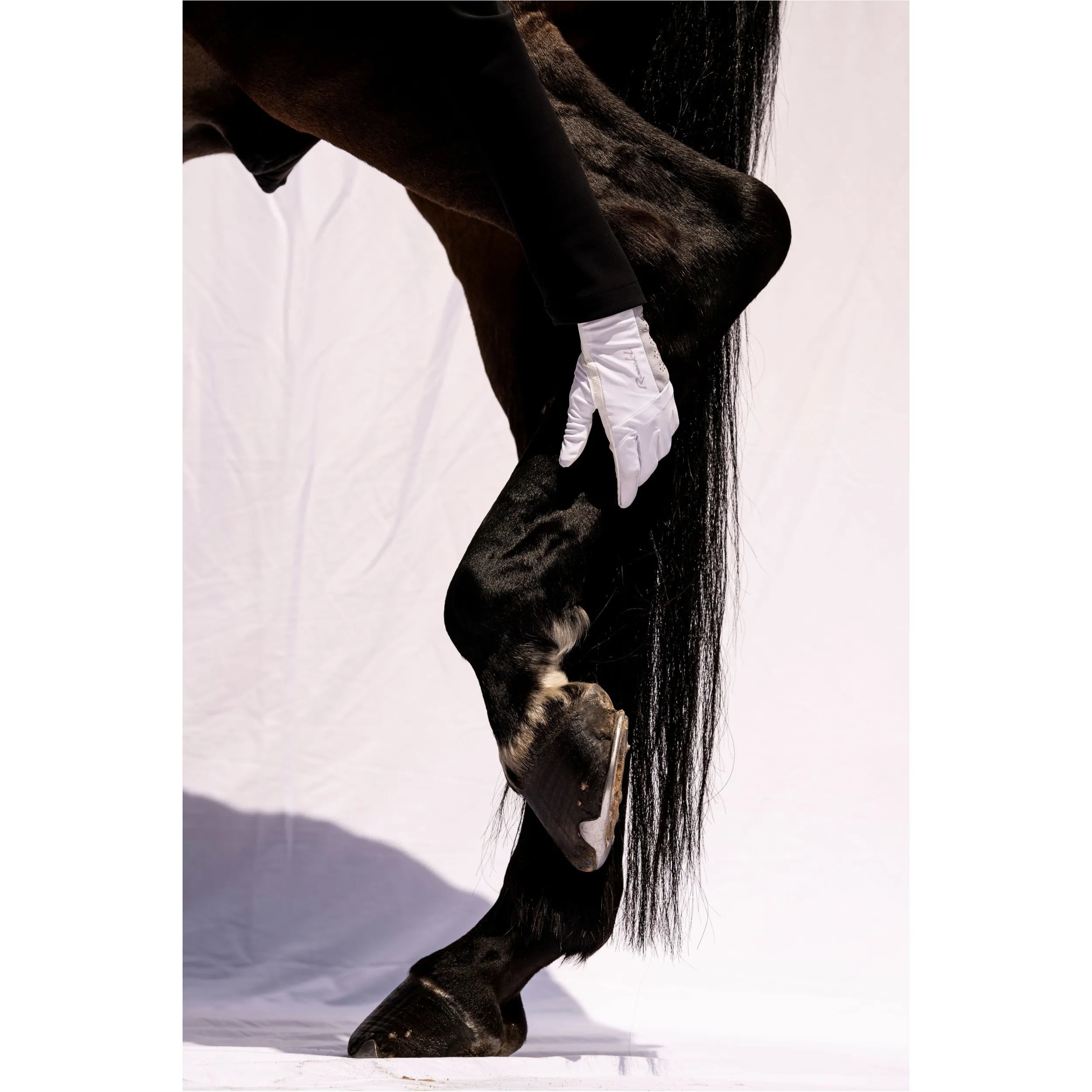 Damen Reithandschuhe LILLINOE weiß