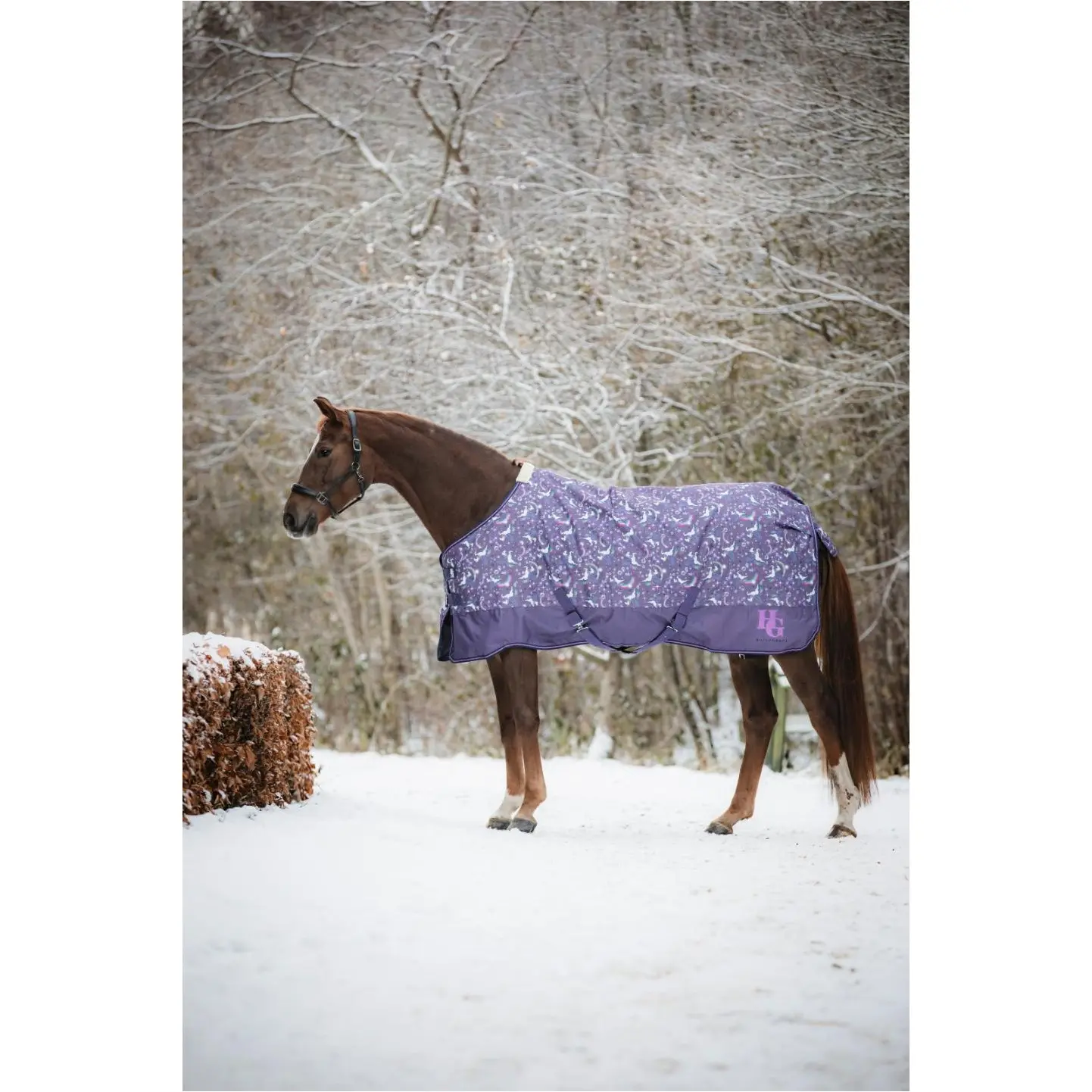 Turnoutdecke 100g Füllung 600D JOSH PONY montana grape