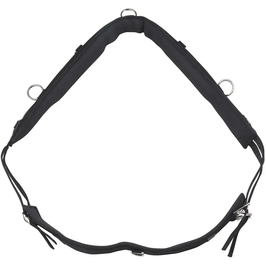 Longiergurt aus Polypropylen schwarz 175-220cm
