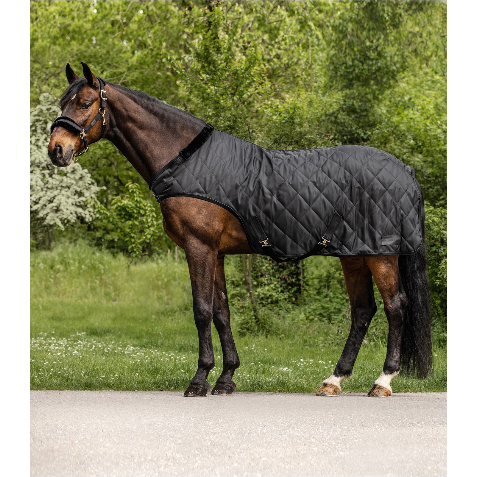 schwarz