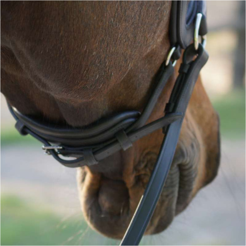 Trensenzaum Gebisslos LIGHT schwarz