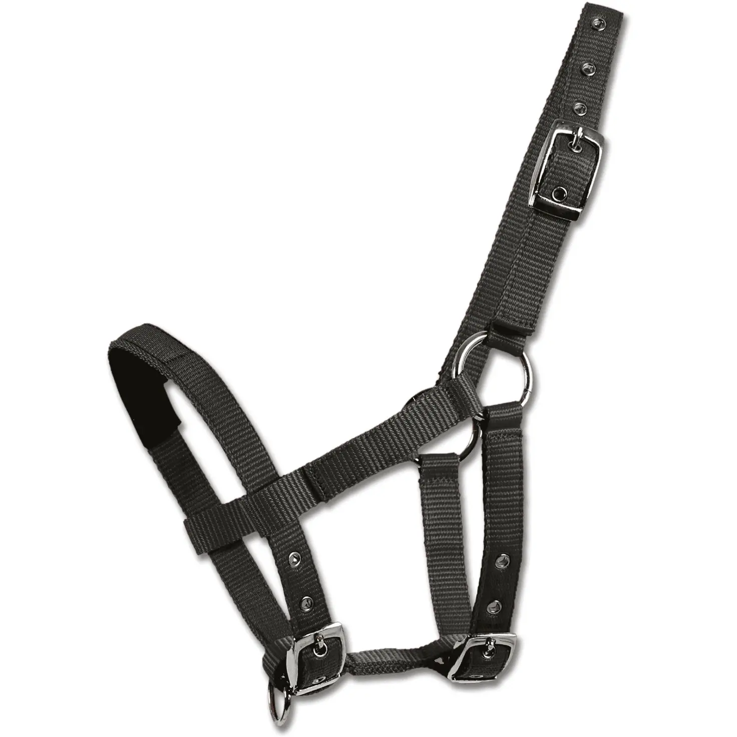 Halfter schwarz Minishetty